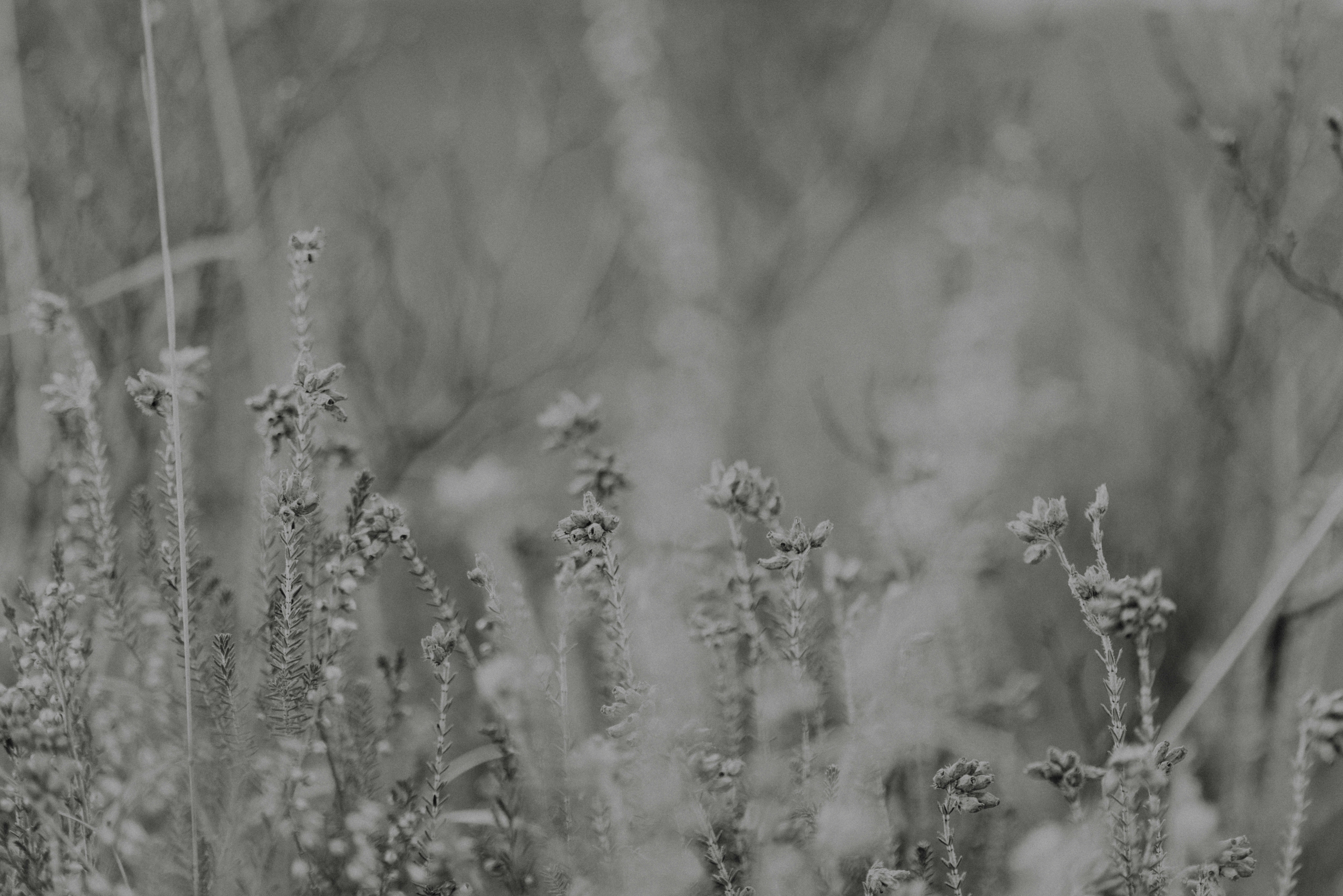 Photo by anniespratt