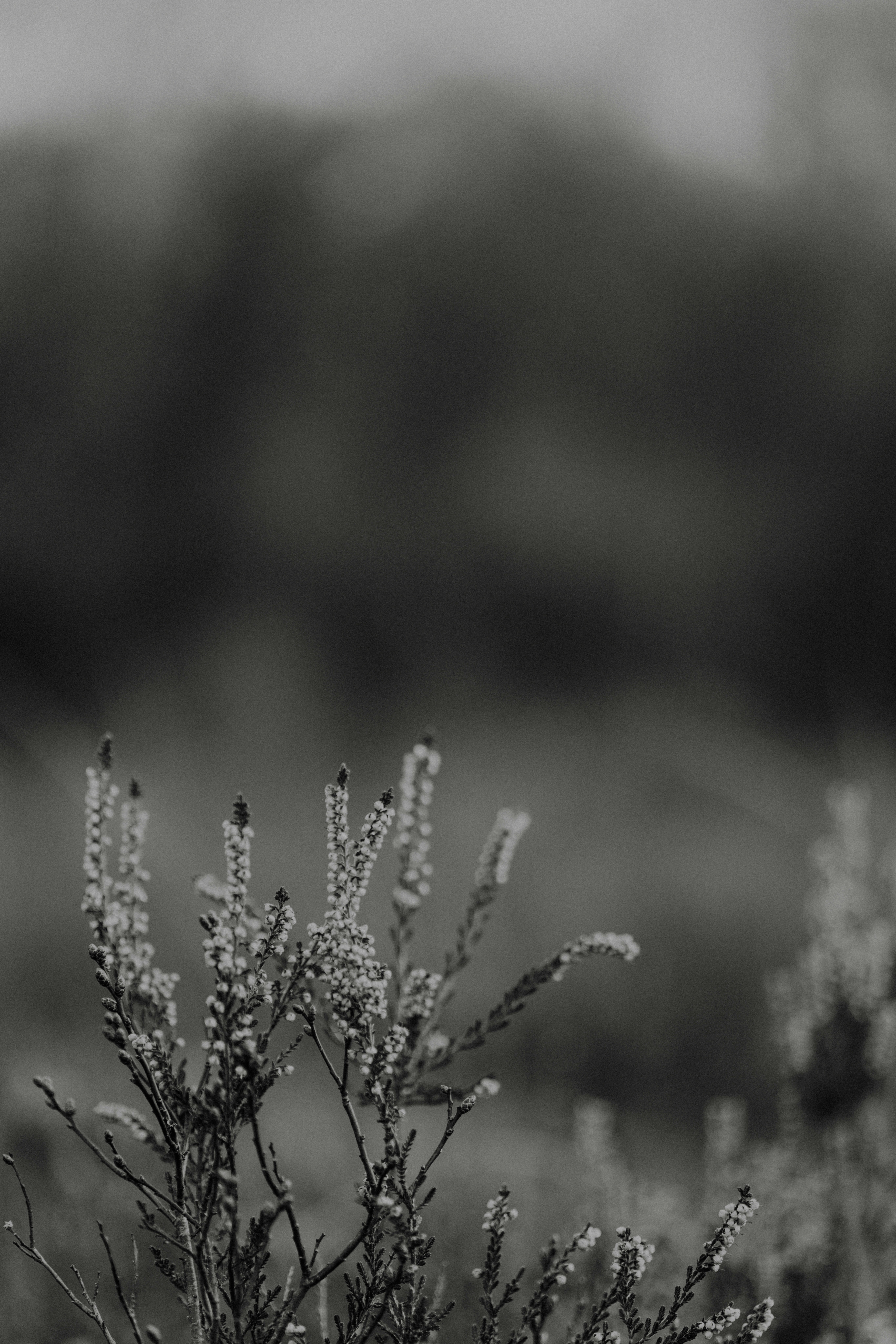 Photo by anniespratt