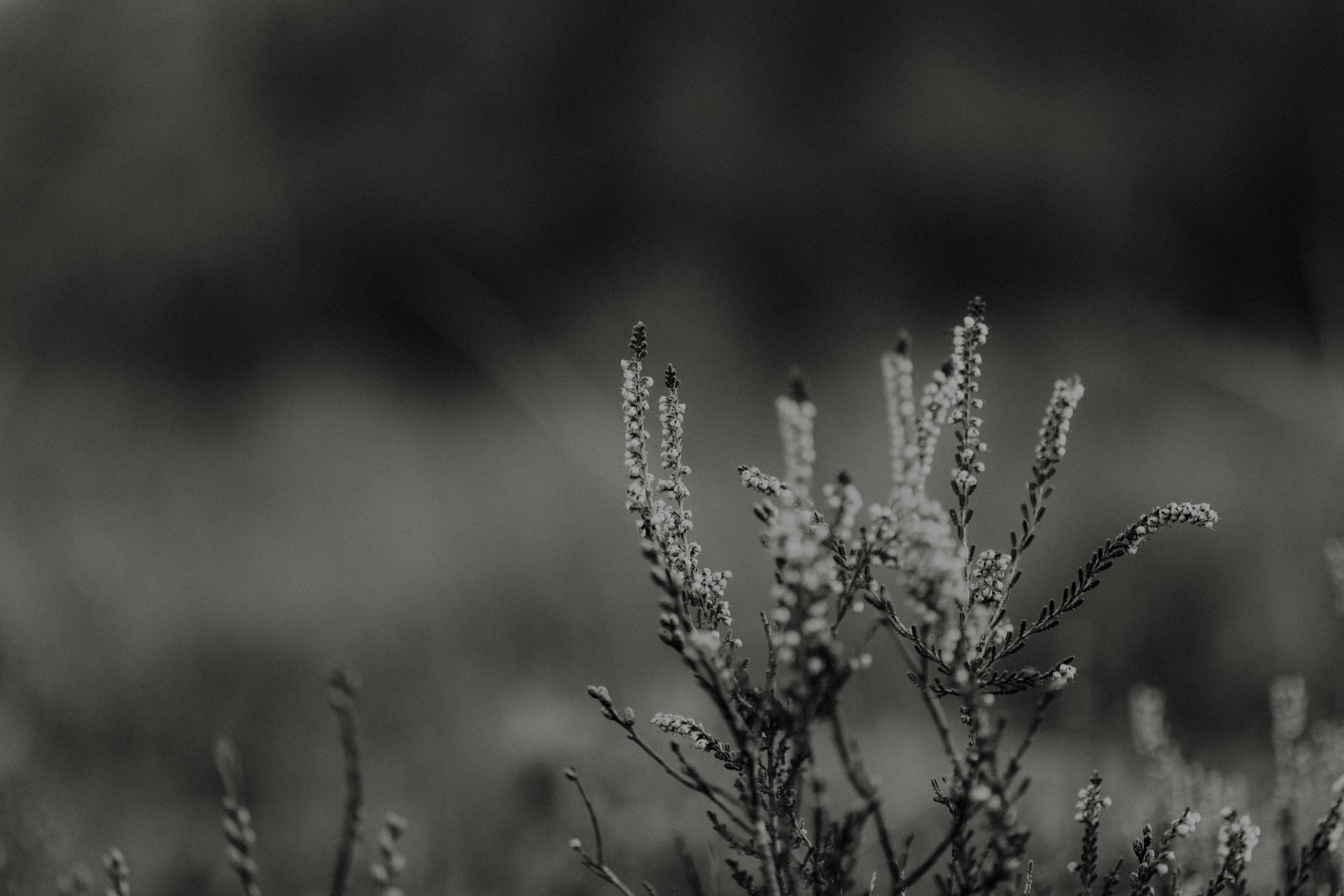 Photo by anniespratt