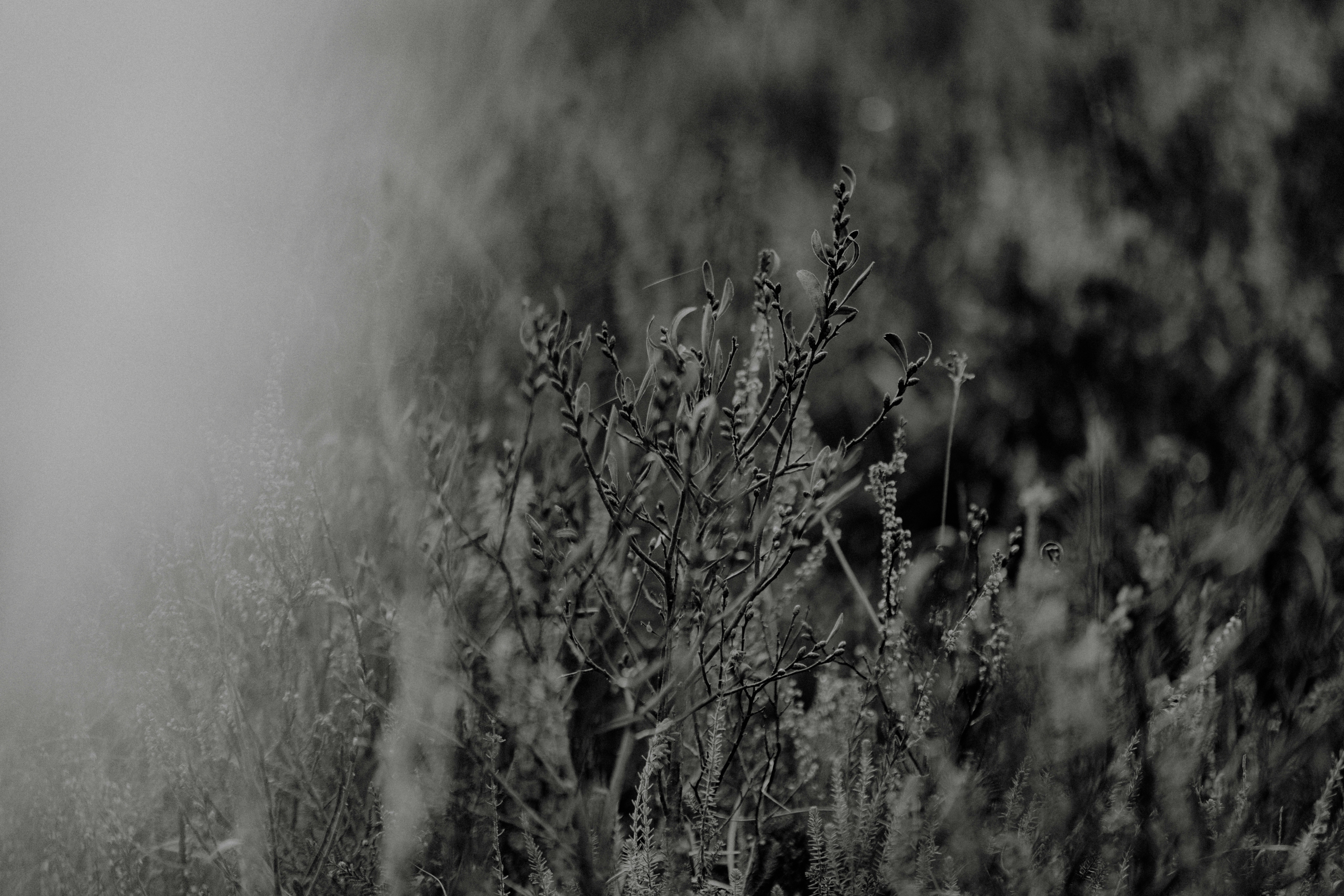 Photo by anniespratt