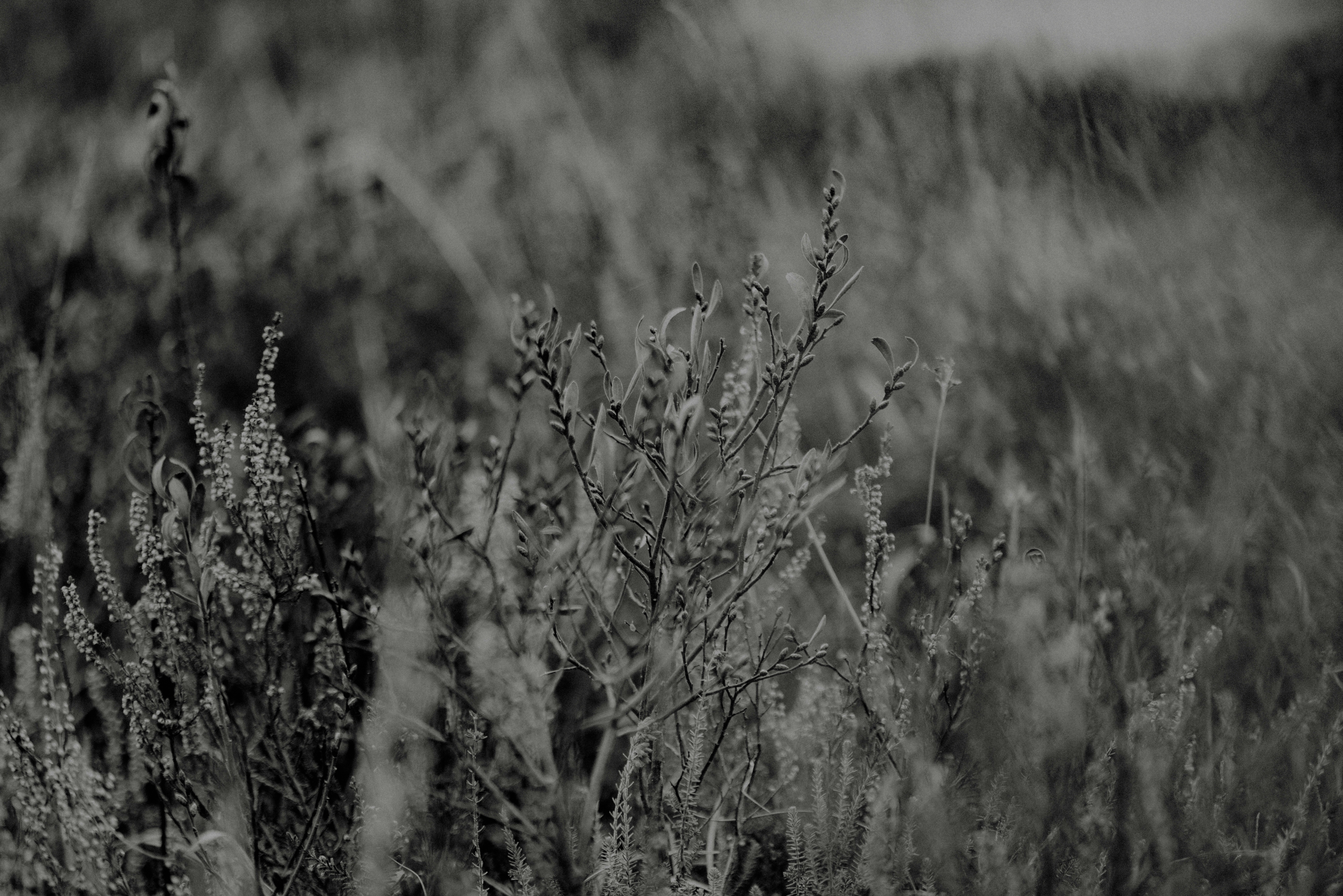 Photo by anniespratt