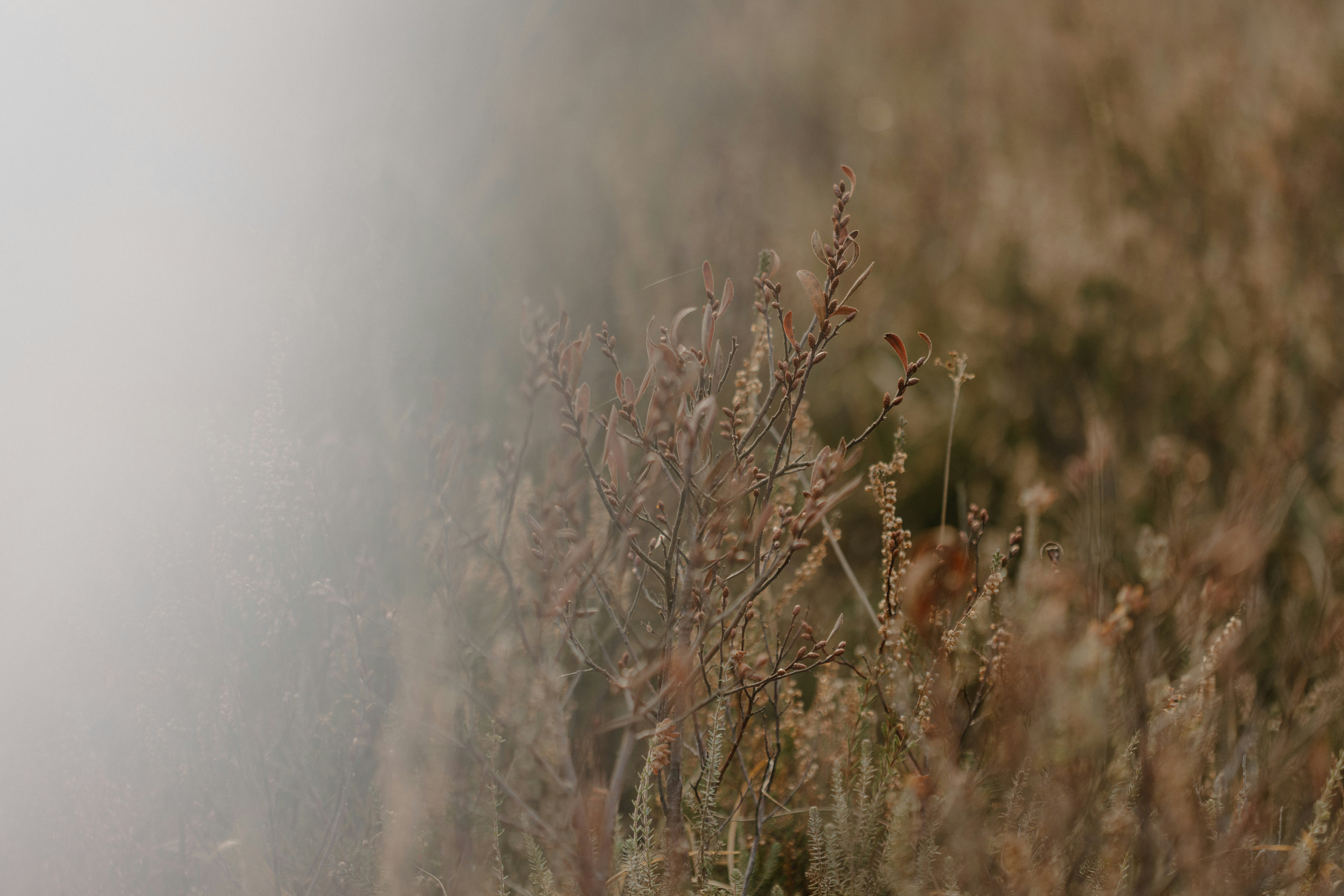 Photo by anniespratt