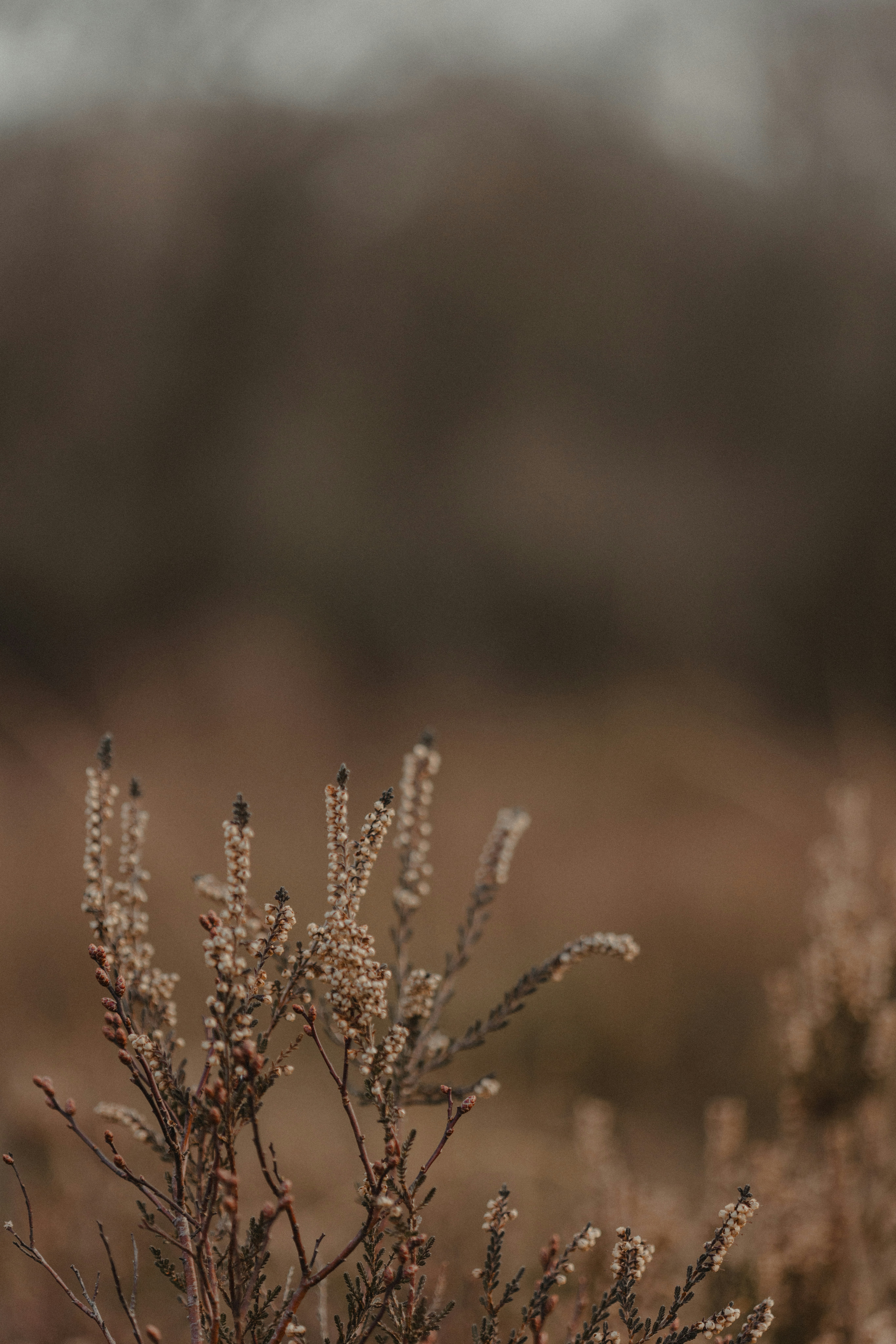 Photo by anniespratt