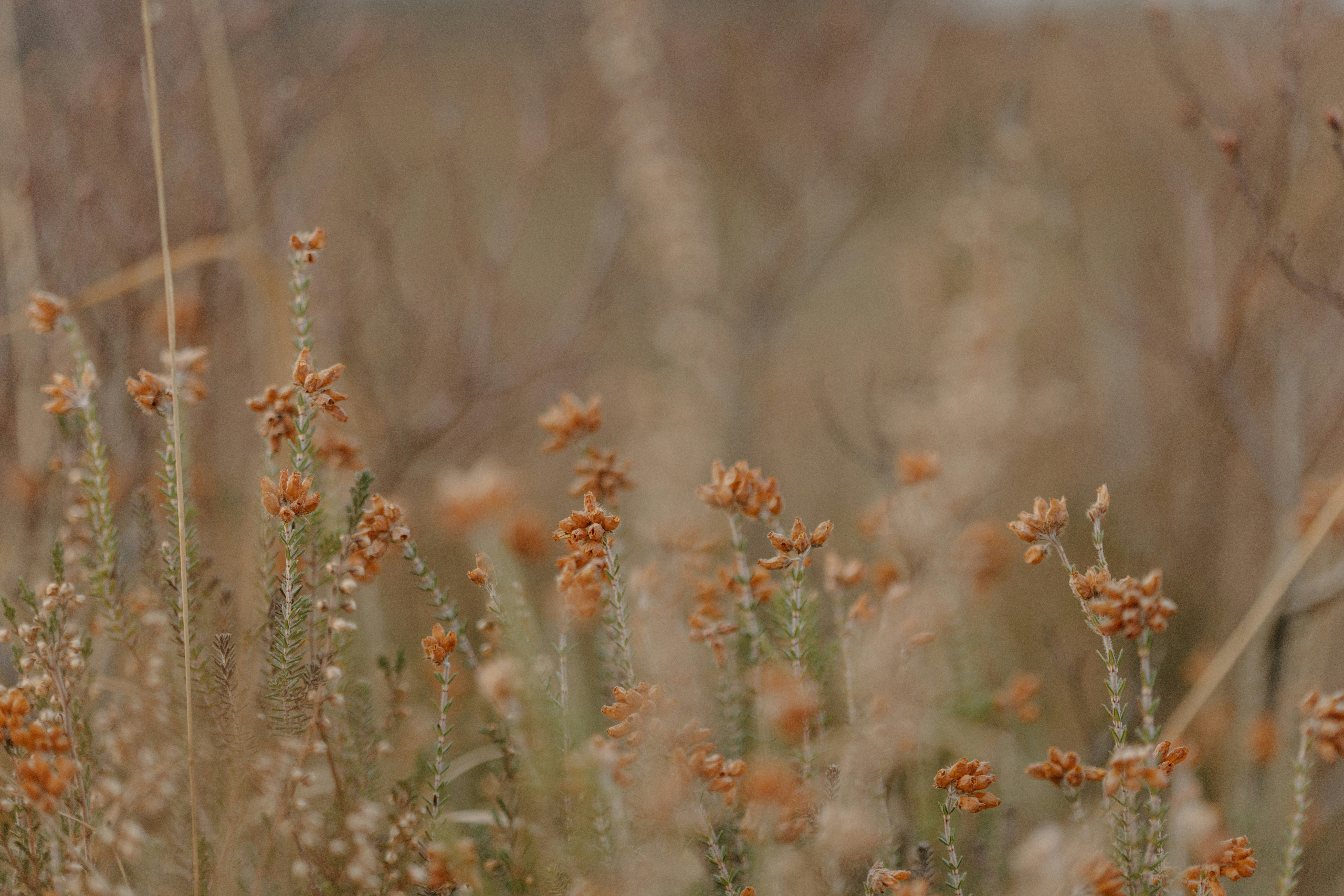 물적시설이란 무엇인가요? 물적시설의 이해와 종류