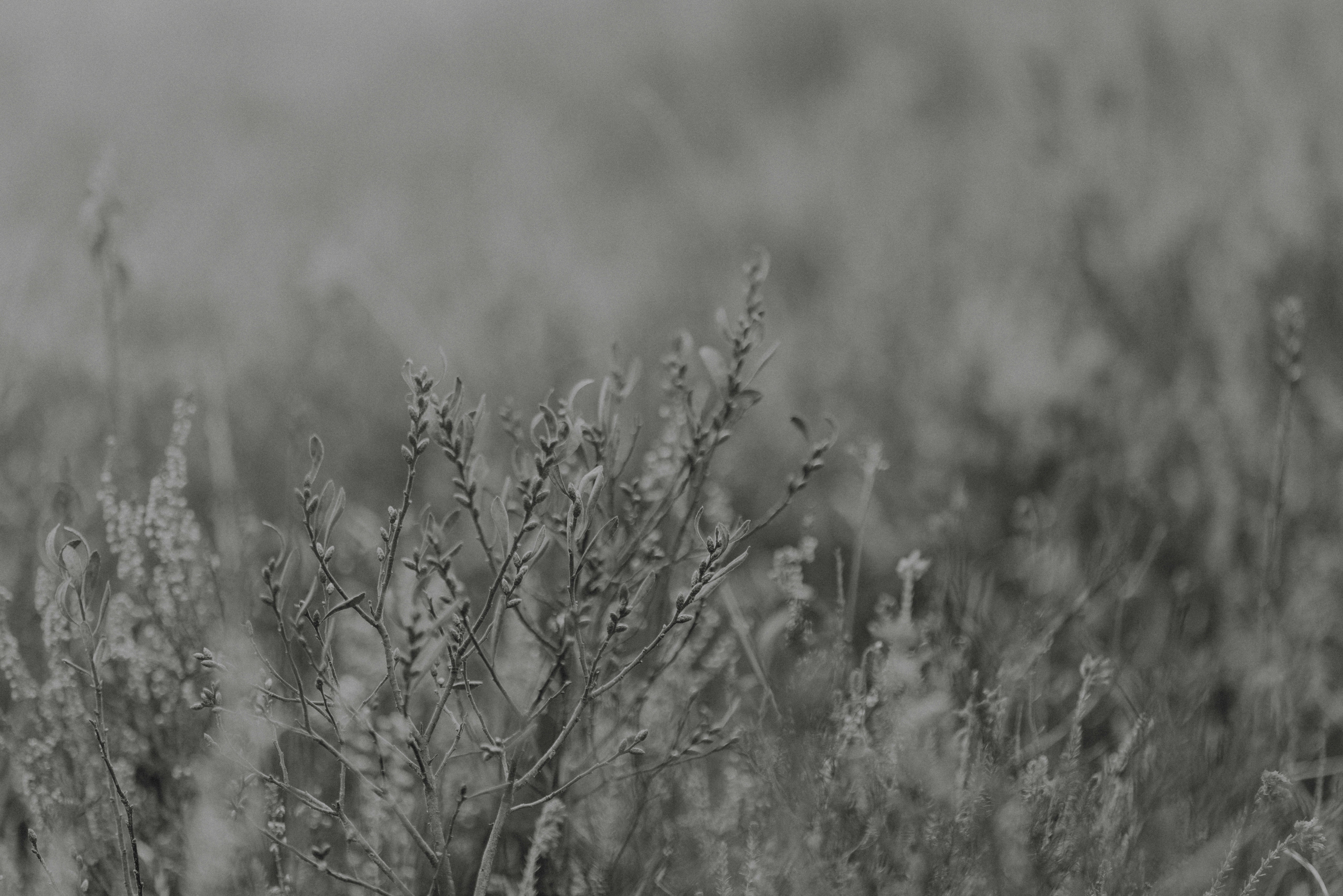 Photo by anniespratt