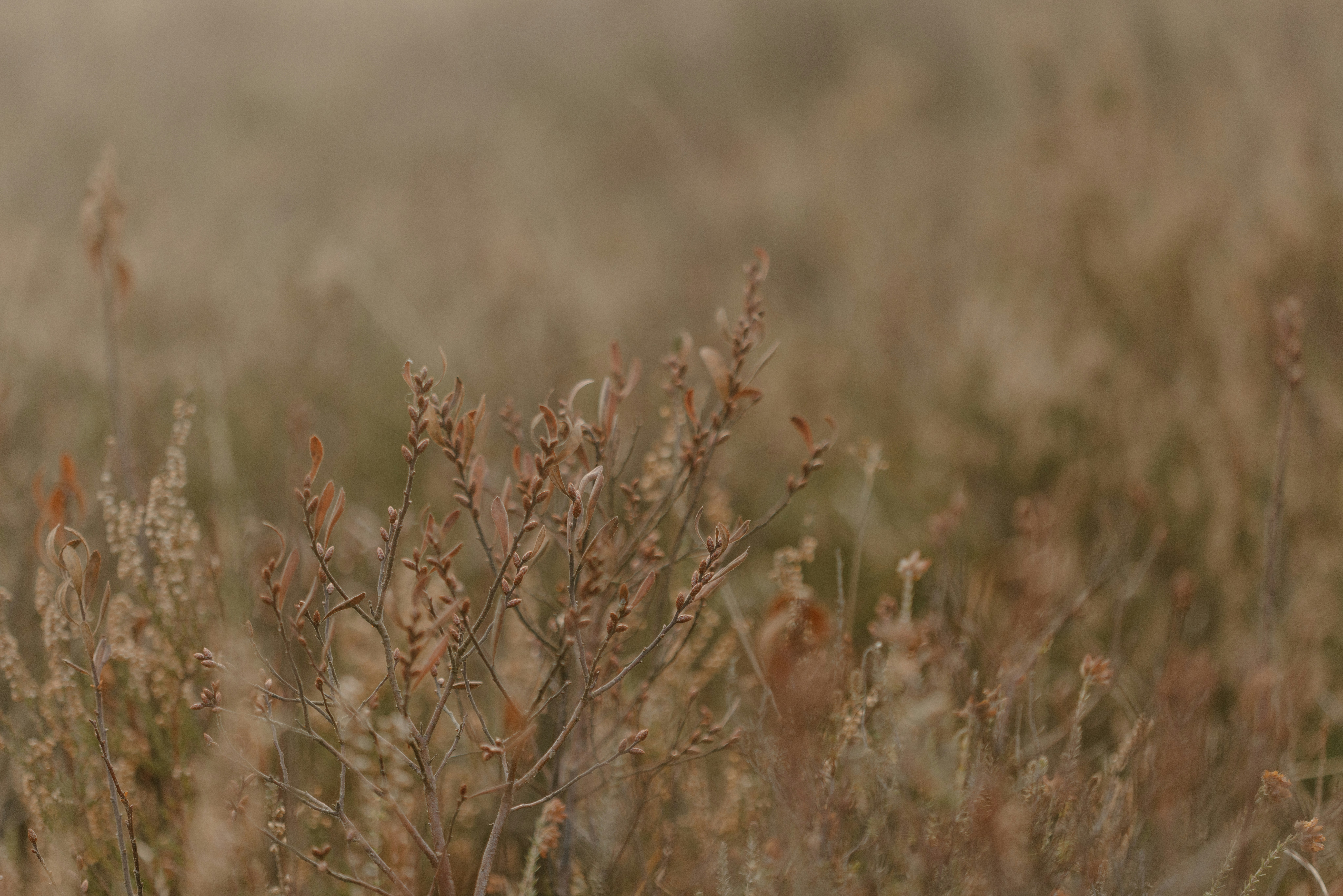 Photo by anniespratt