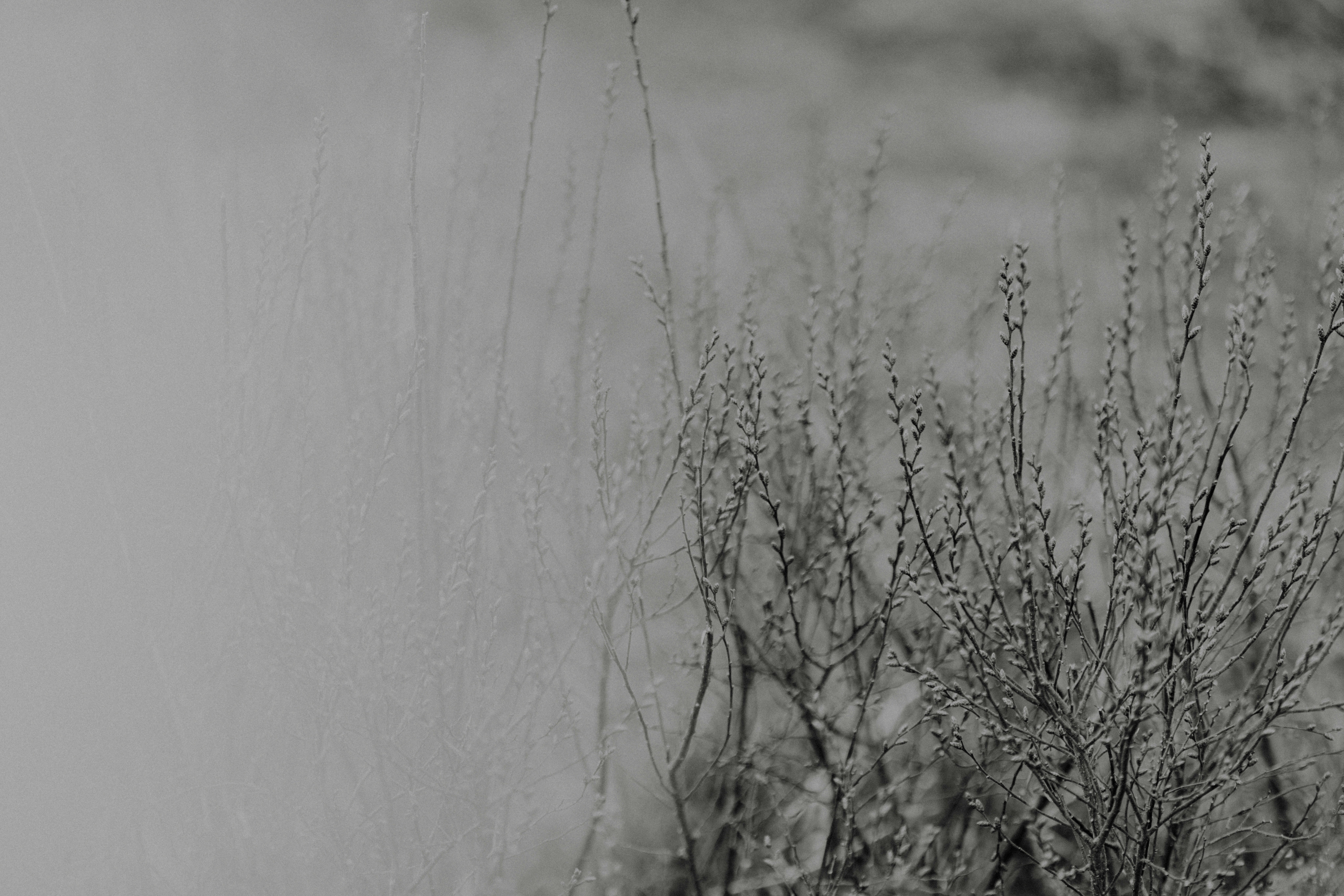 Photo by anniespratt