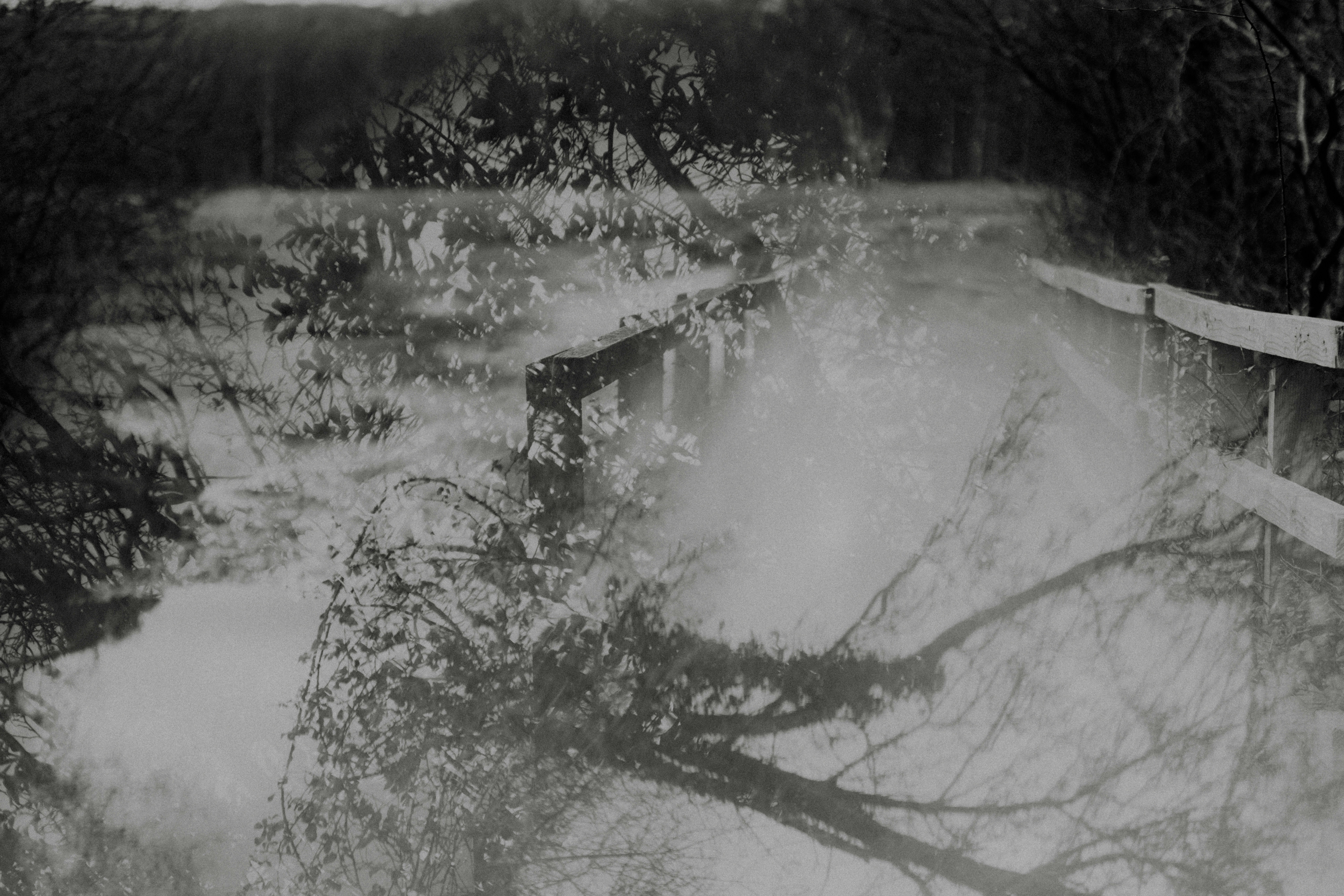 Photo by anniespratt