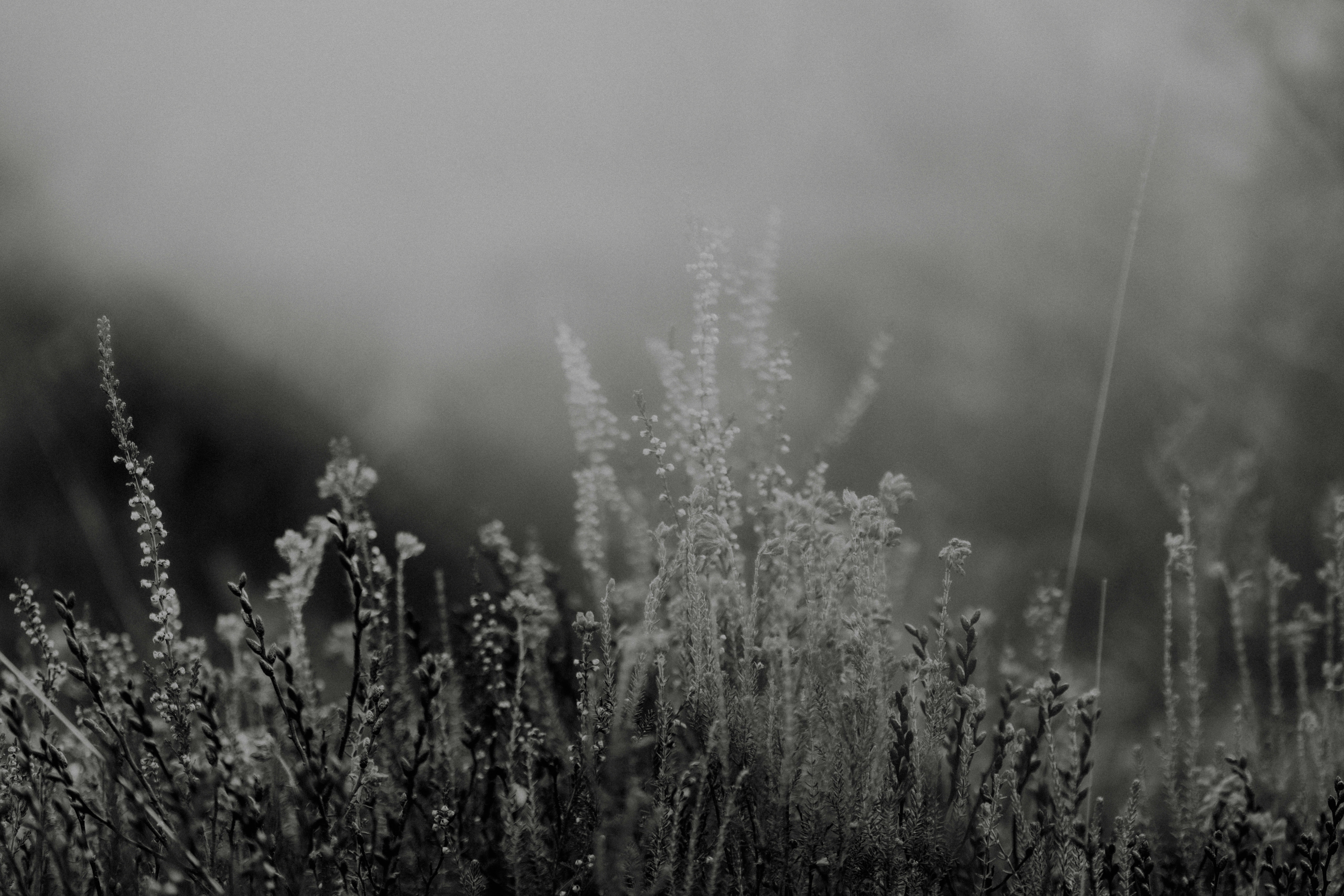 Photo by anniespratt