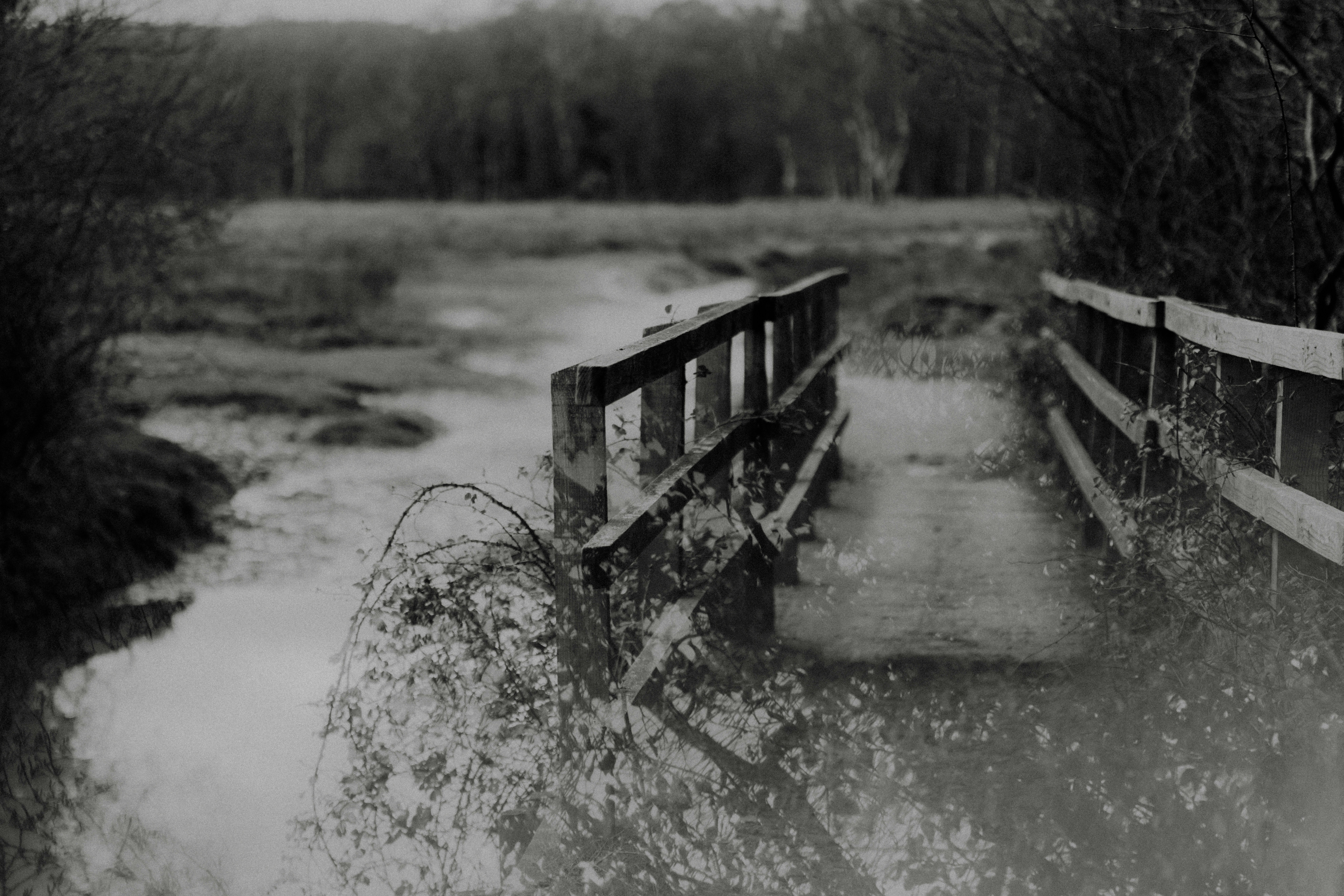 Photo by anniespratt