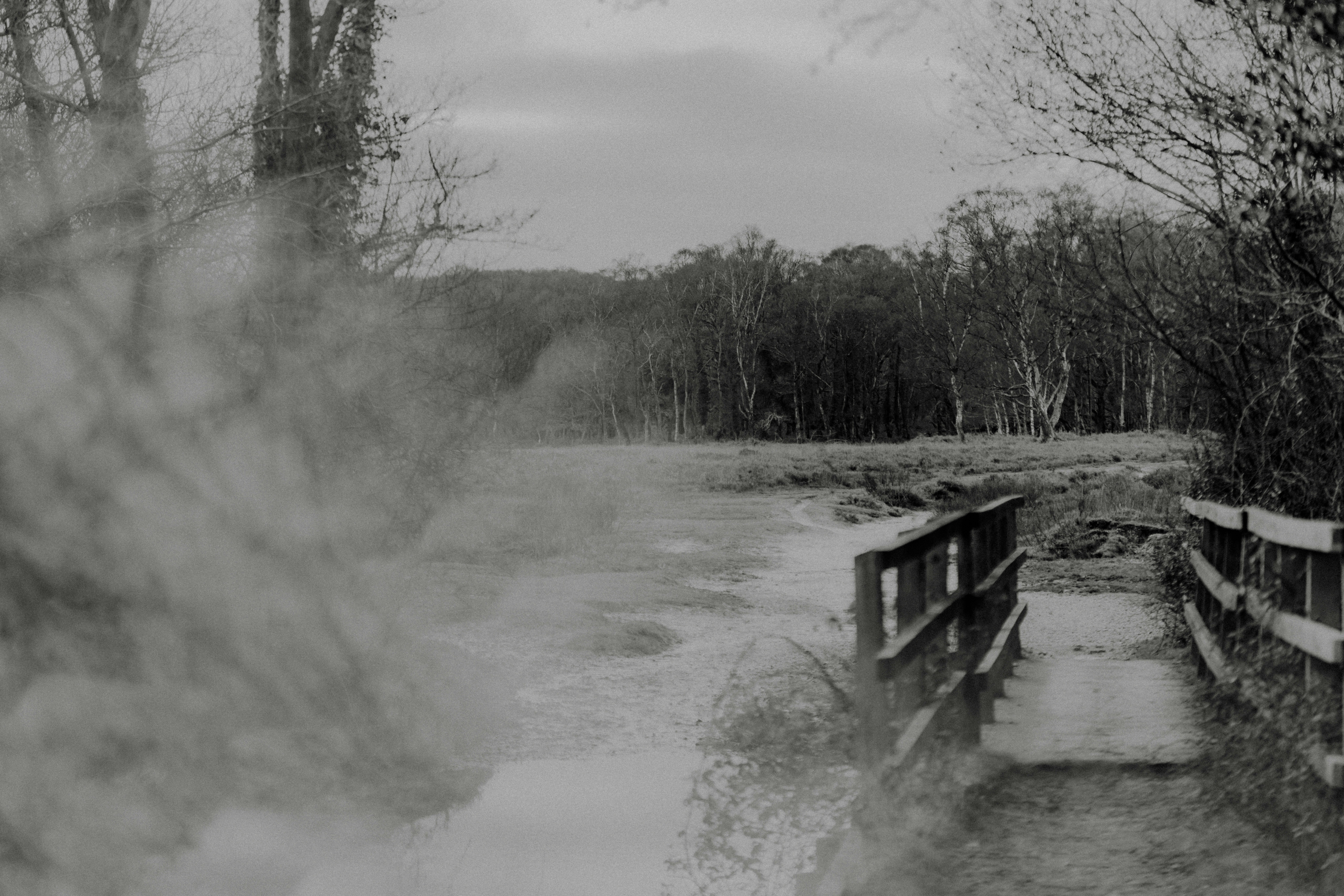 Photo by anniespratt