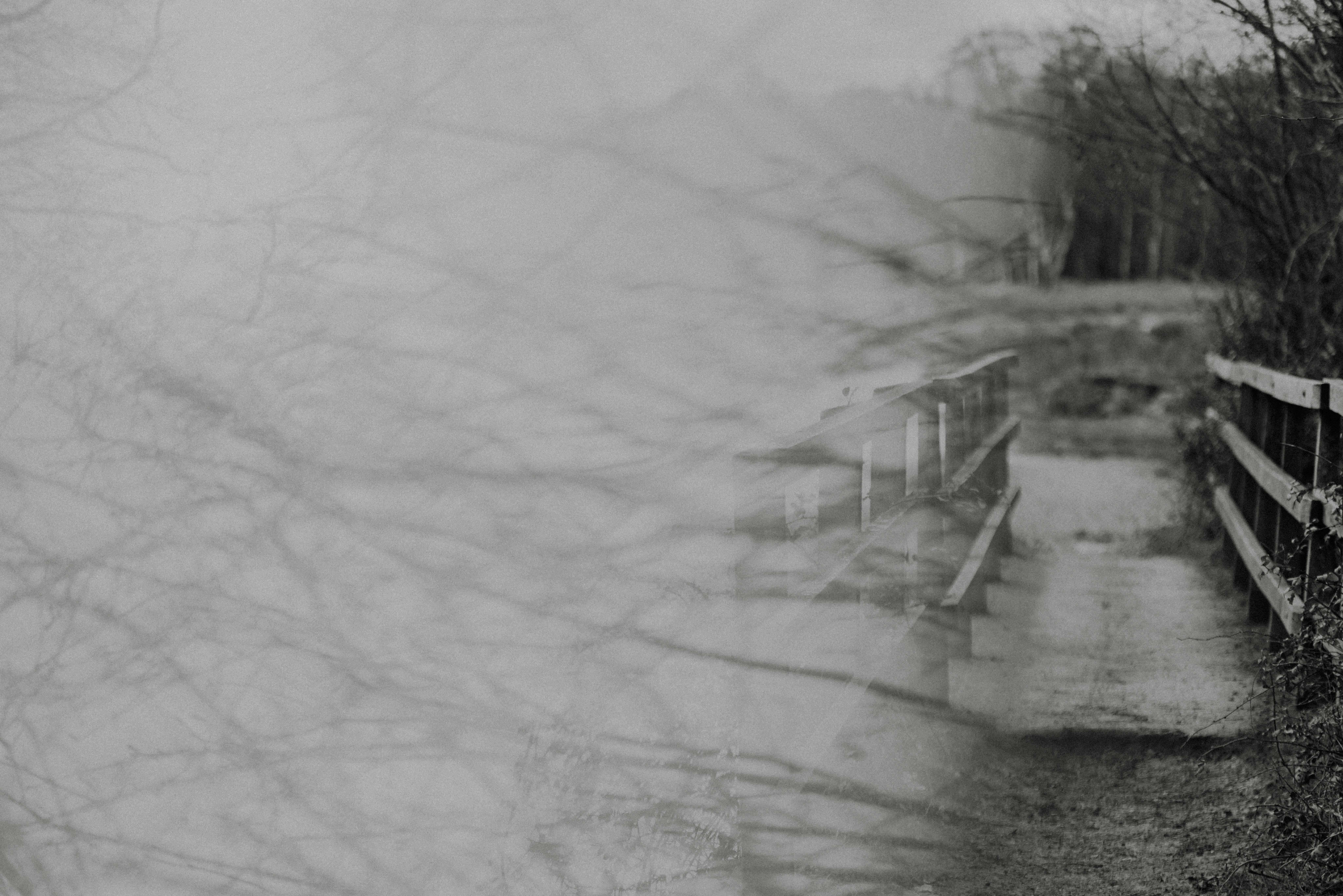 Photo by anniespratt