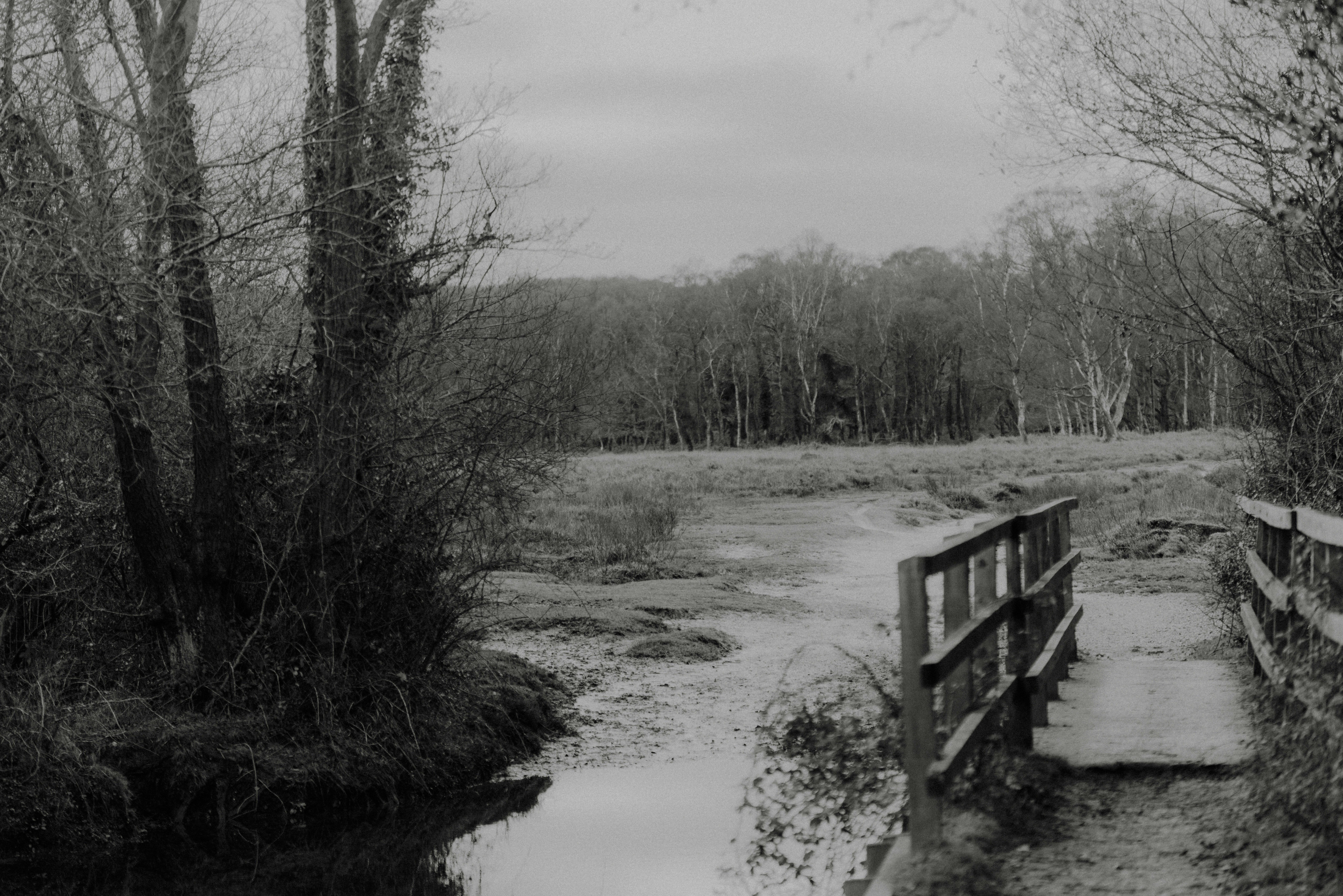 Photo by anniespratt