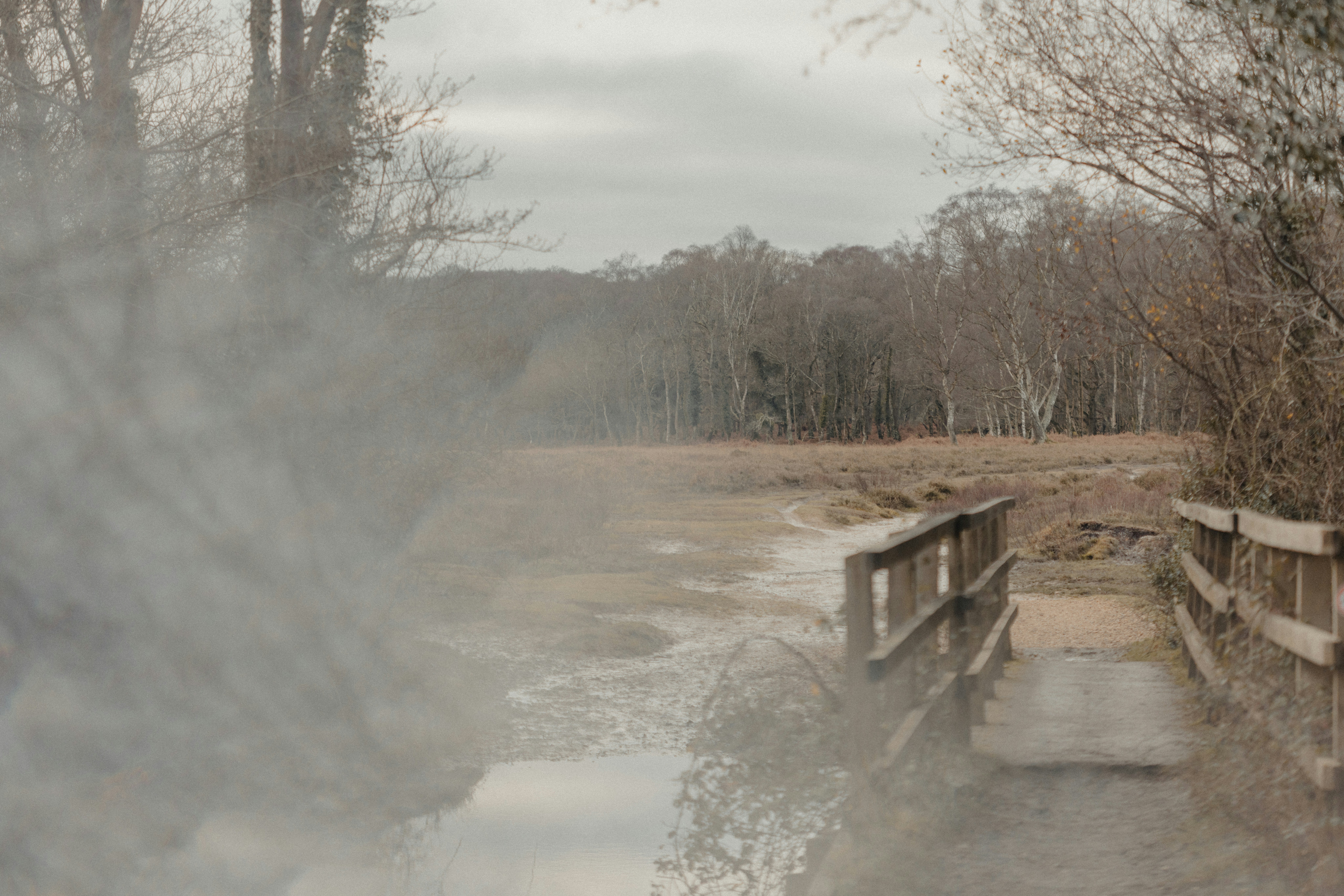 Photo by anniespratt