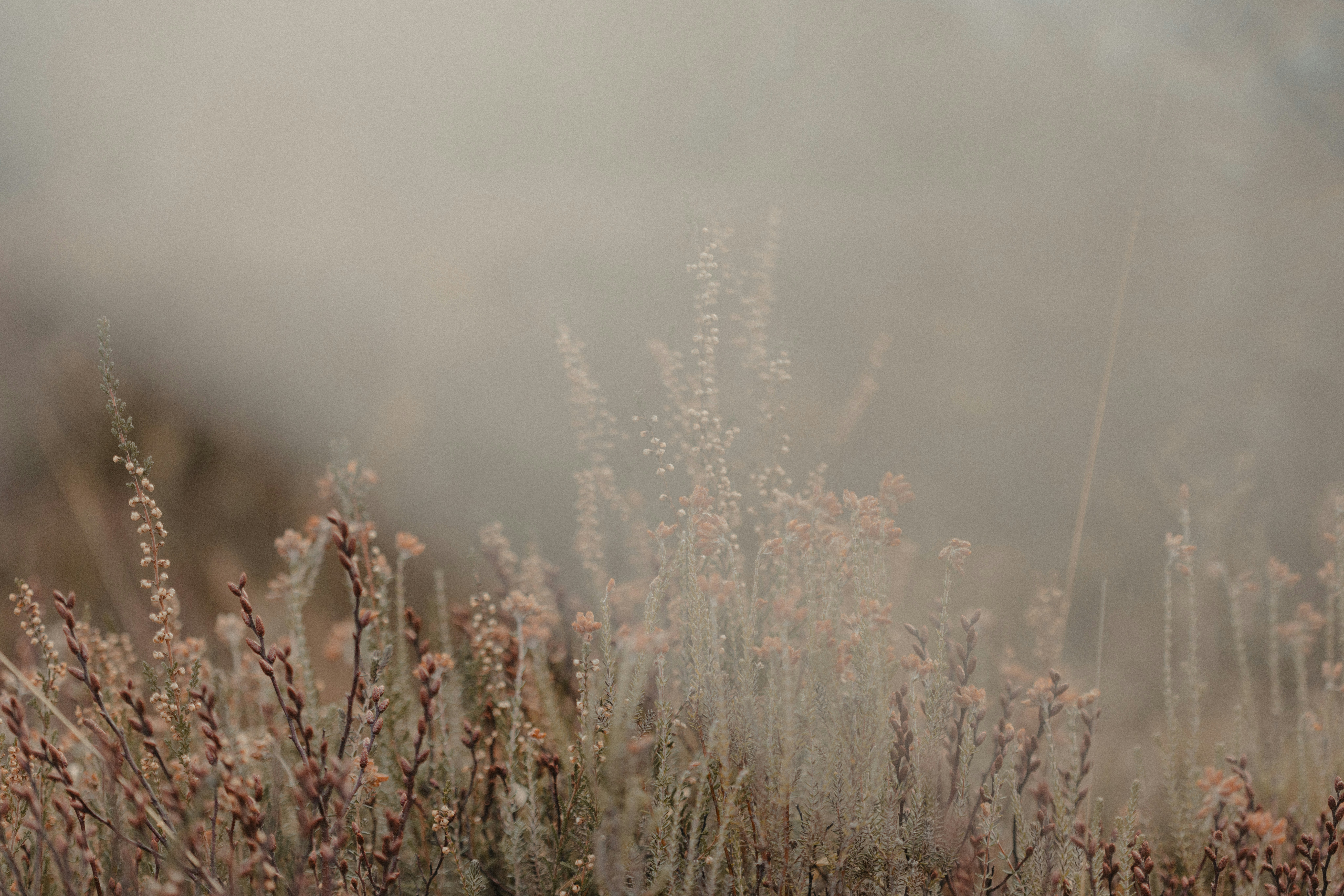 Photo by anniespratt