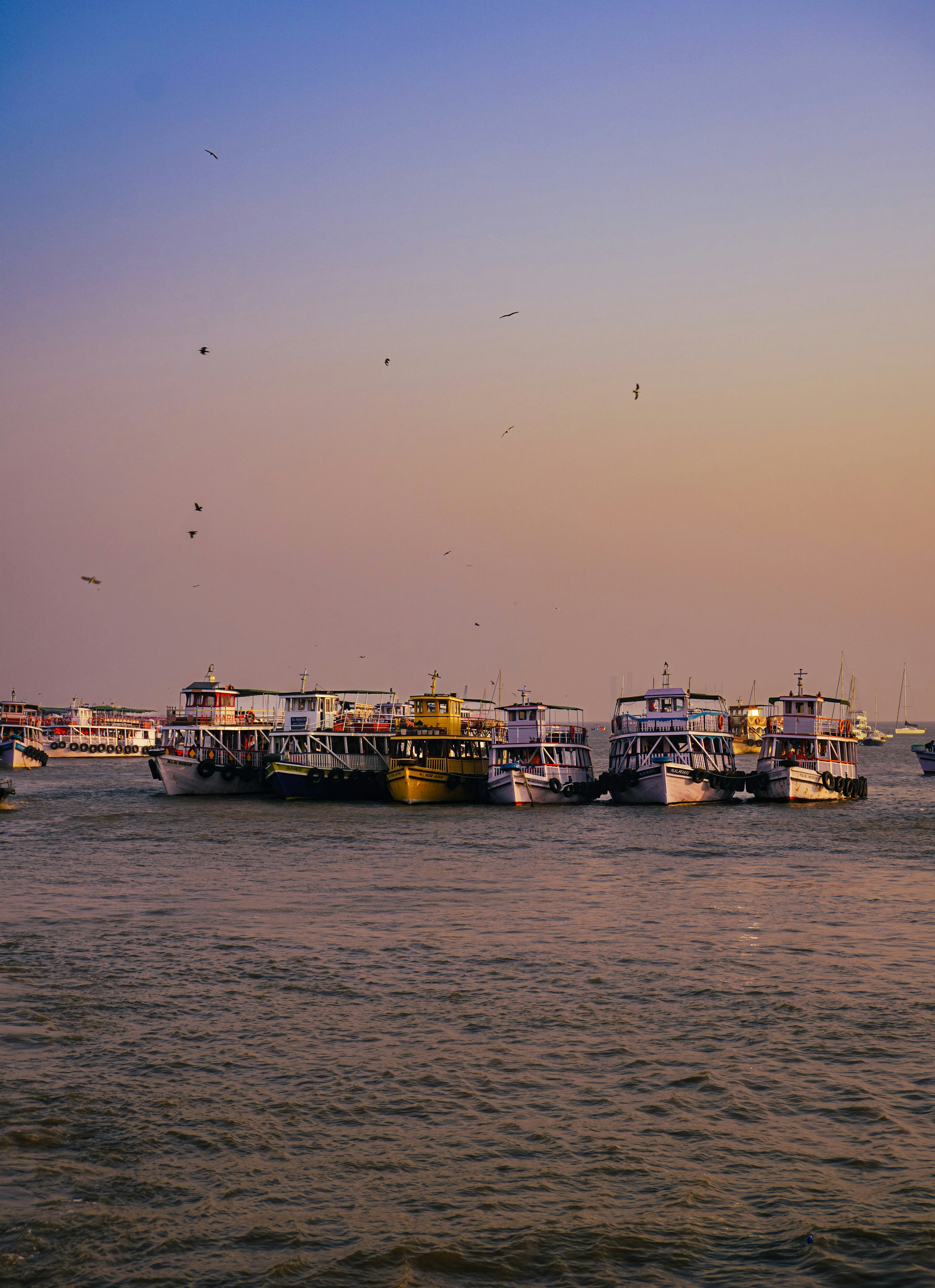 Photo by _muser_photography