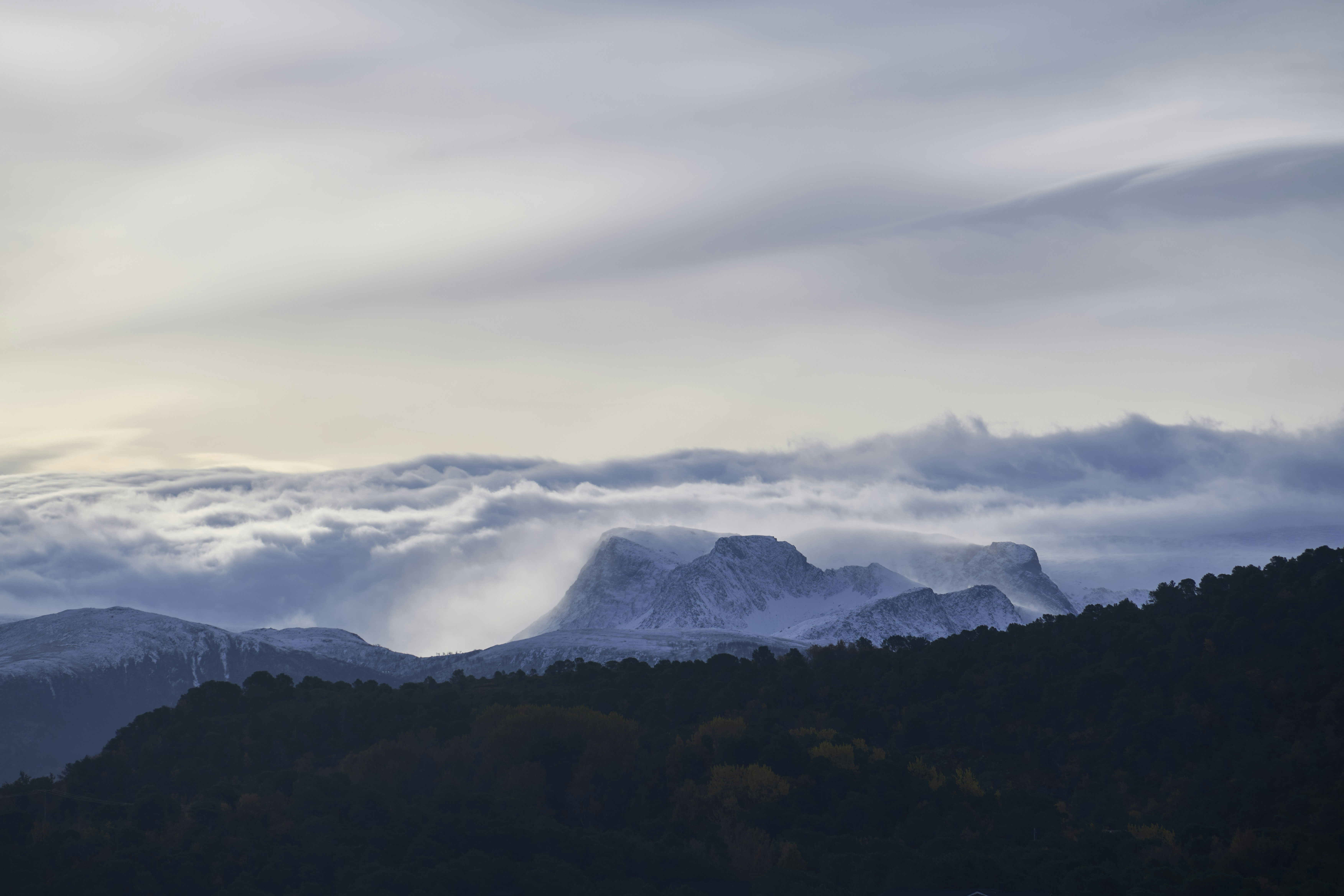 Photo by wolfgang_hasselmann