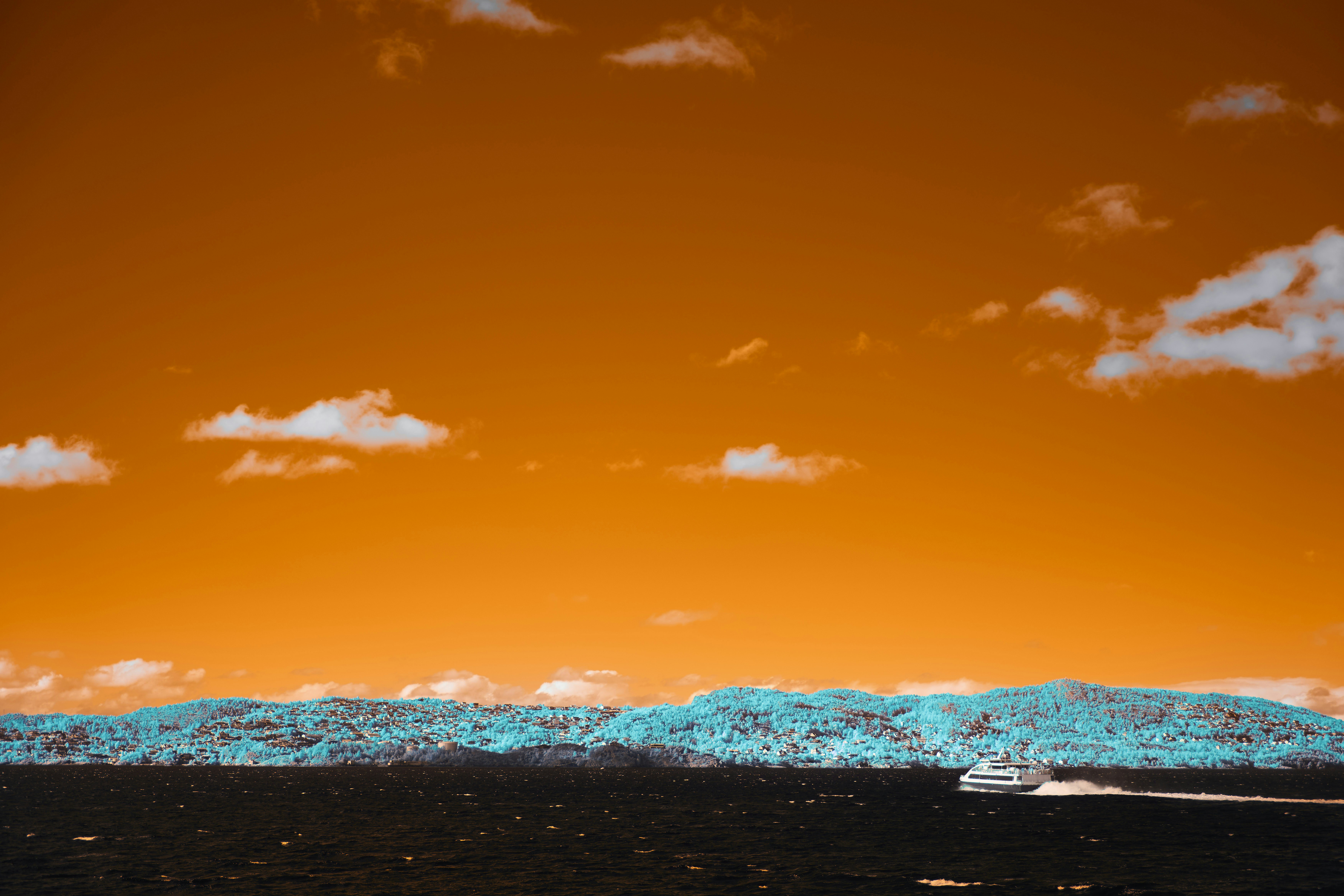 Photo by wolfgang_hasselmann