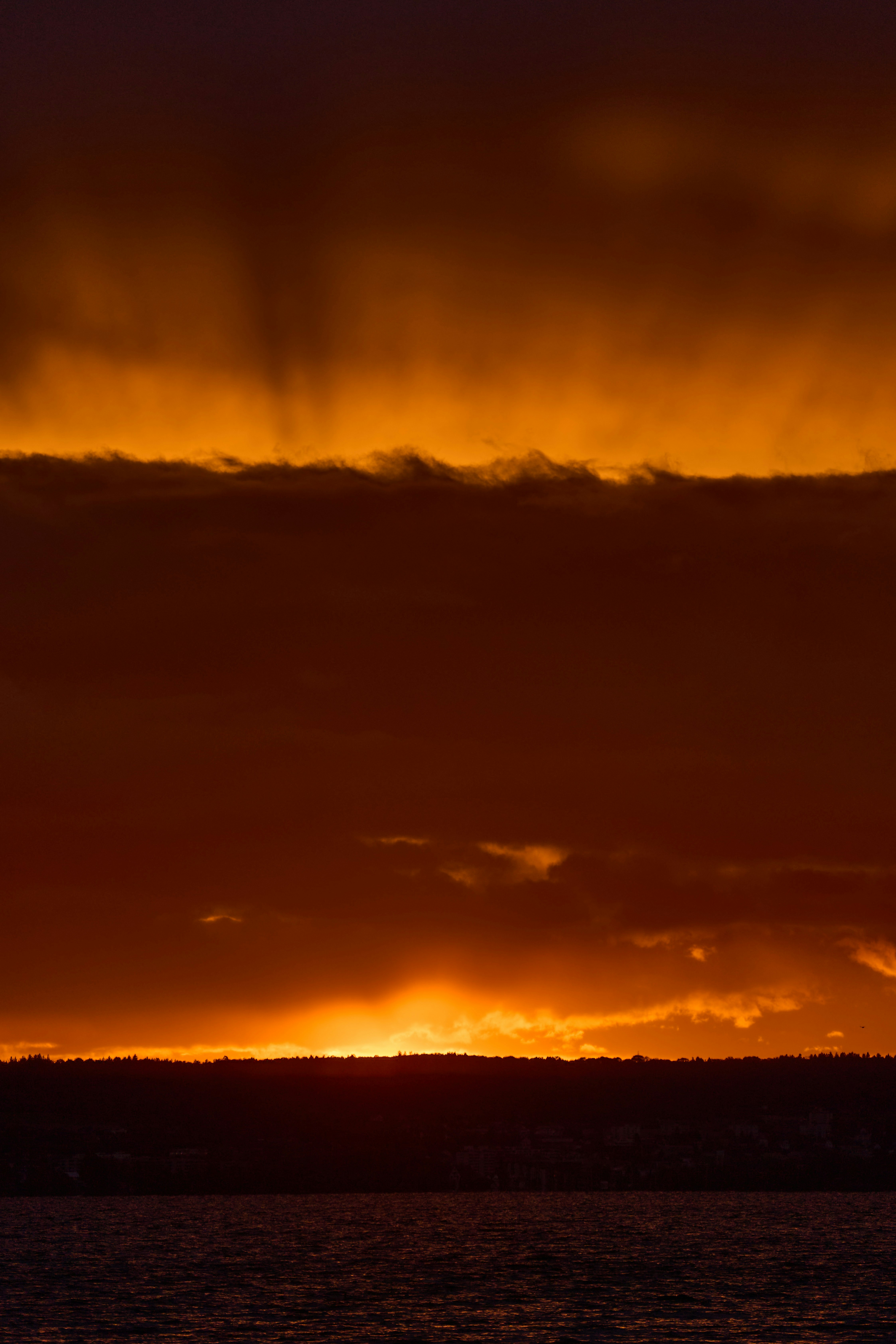 Photo by wolfgang_hasselmann