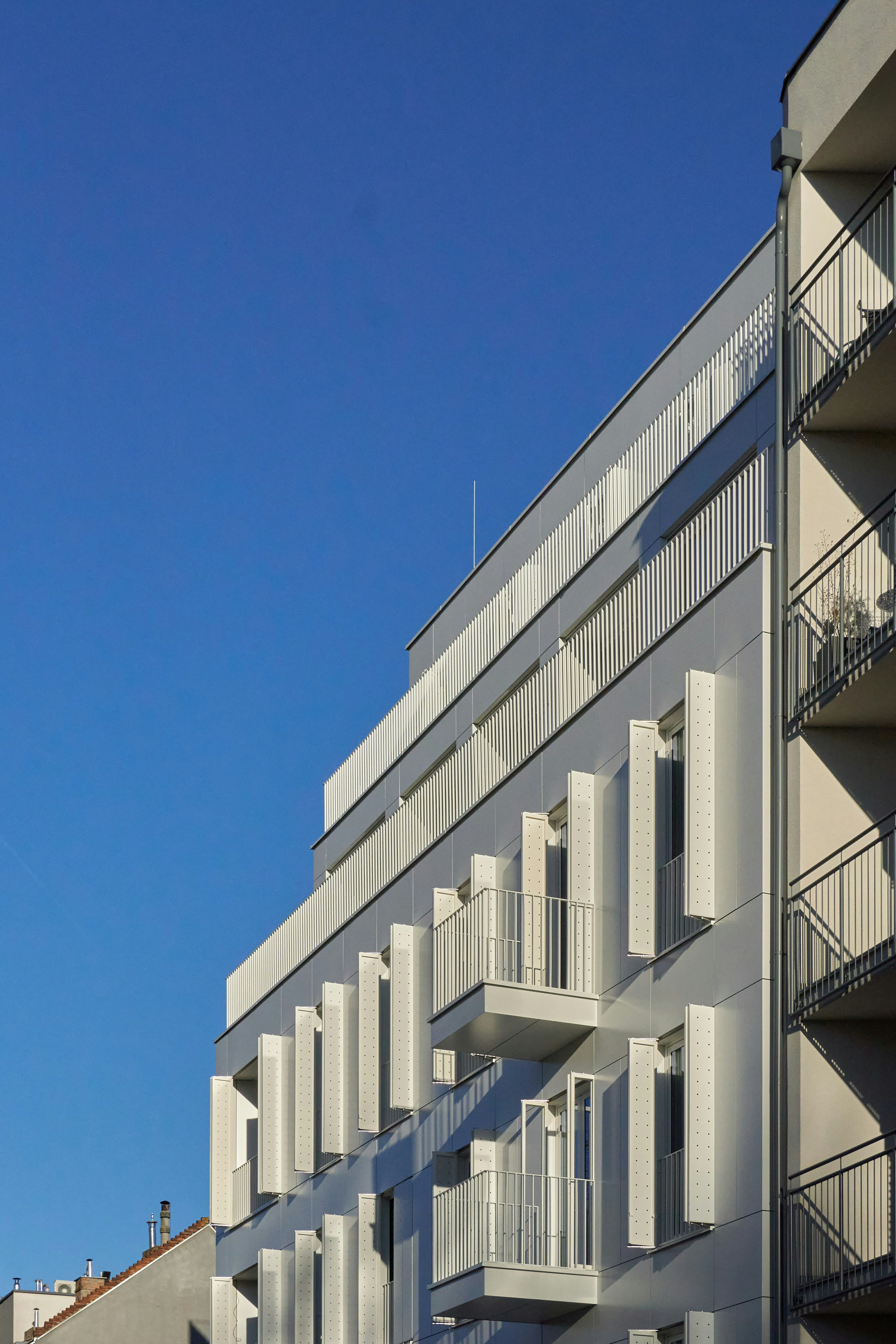 Photo by oksana_pylypenko