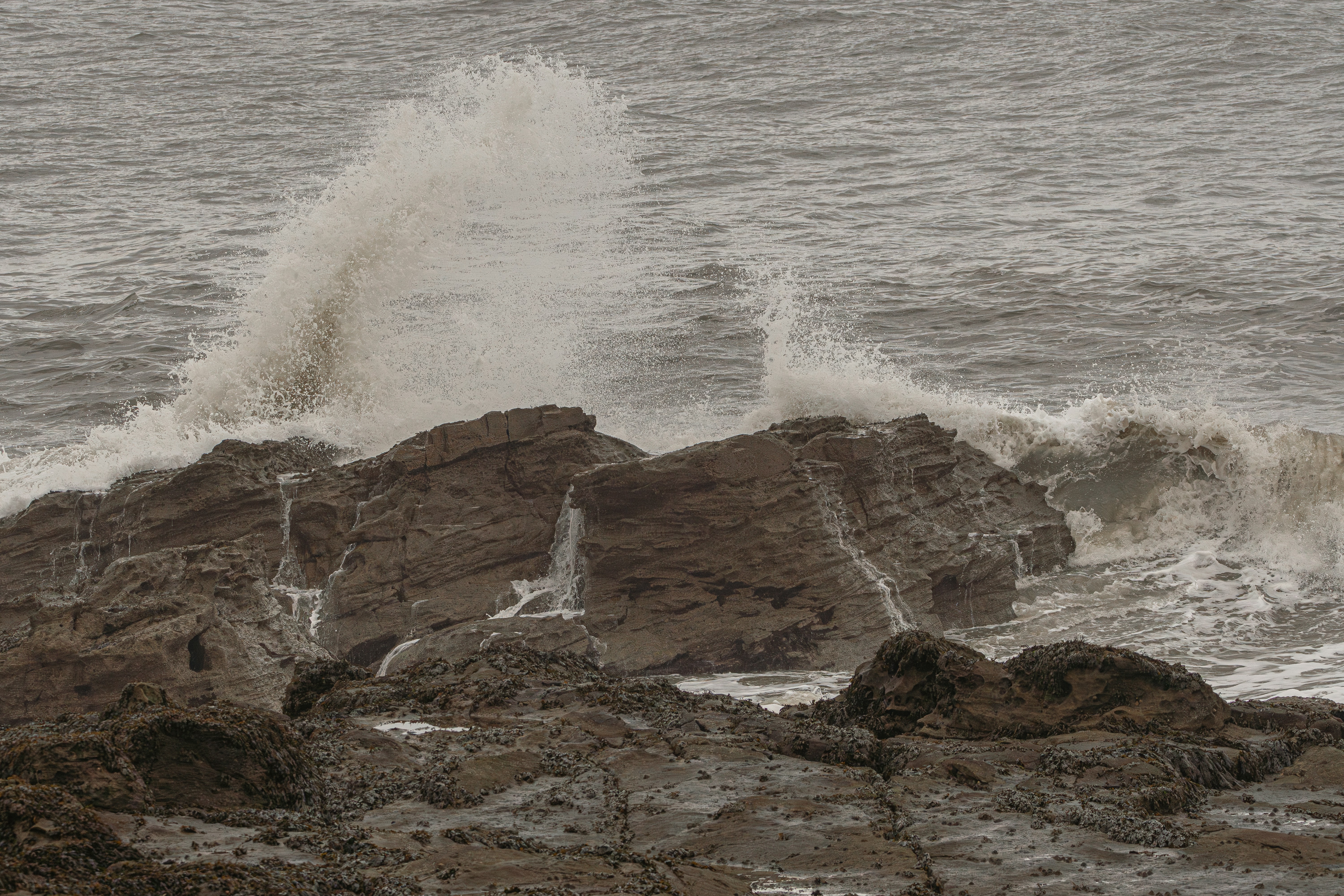 A person standing on a rock with a surfboard, waves at St. Mary’s Lighthouse