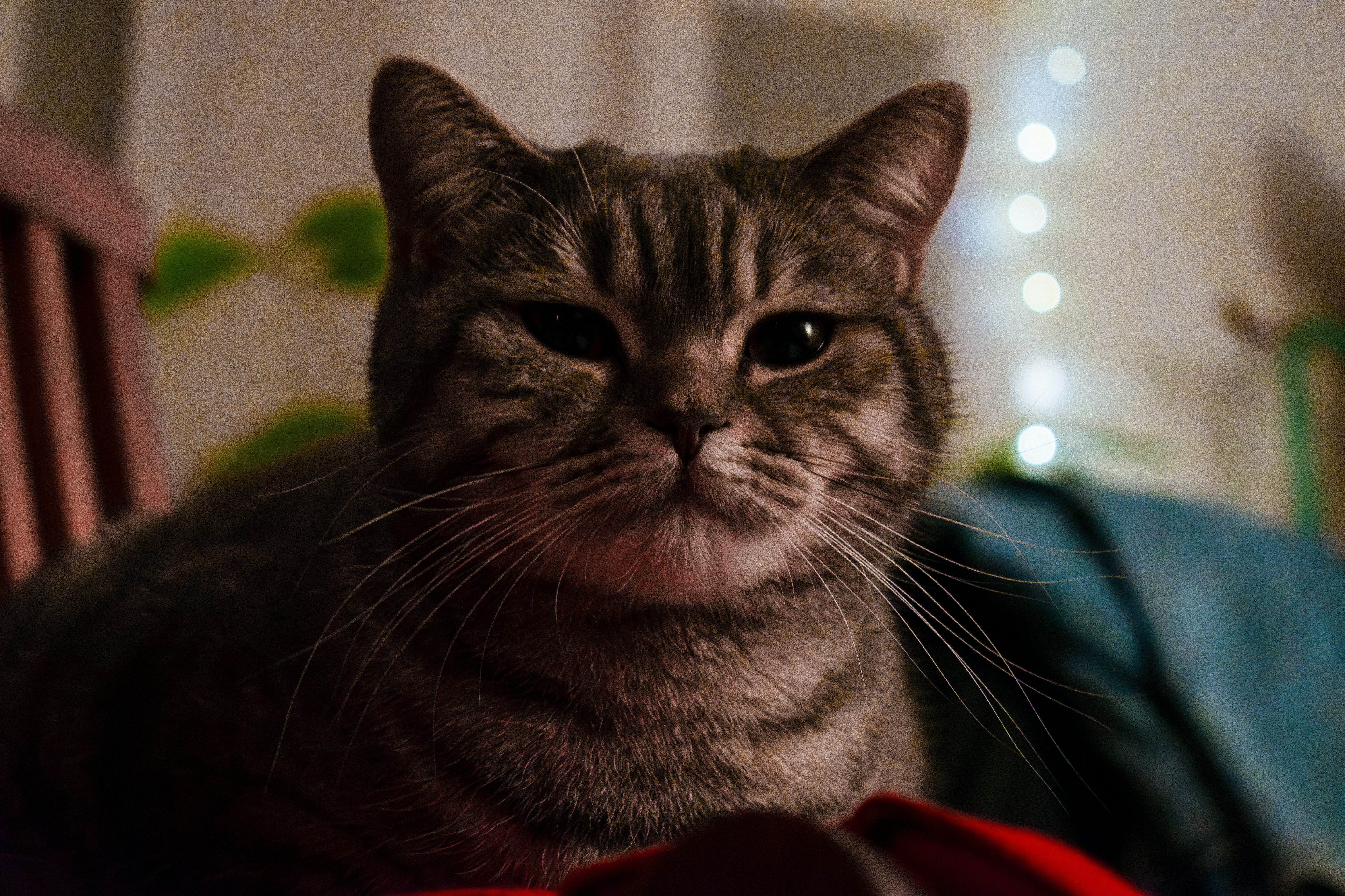 Photo by baptiste_rgnr