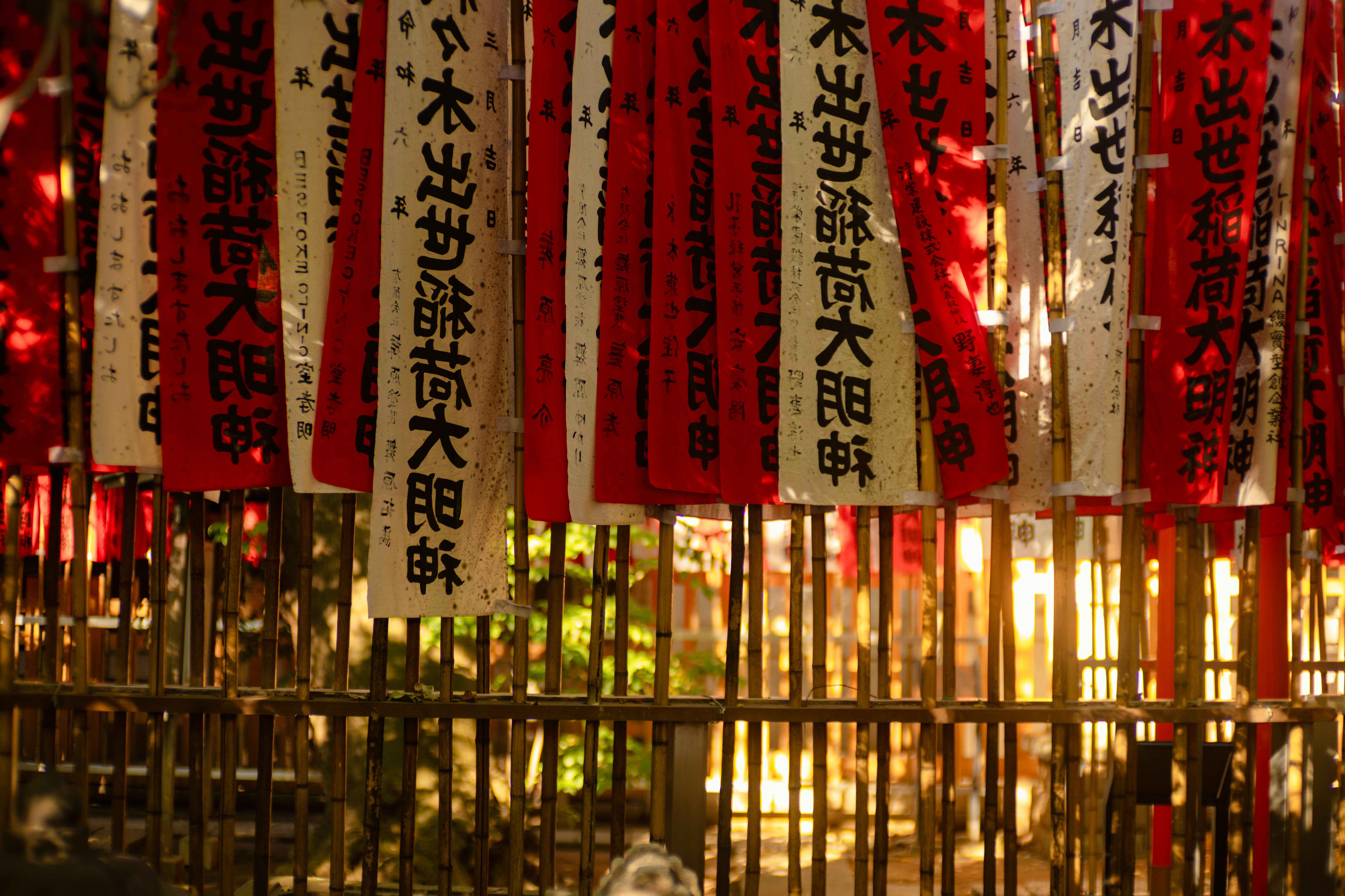 Photo by ninjason