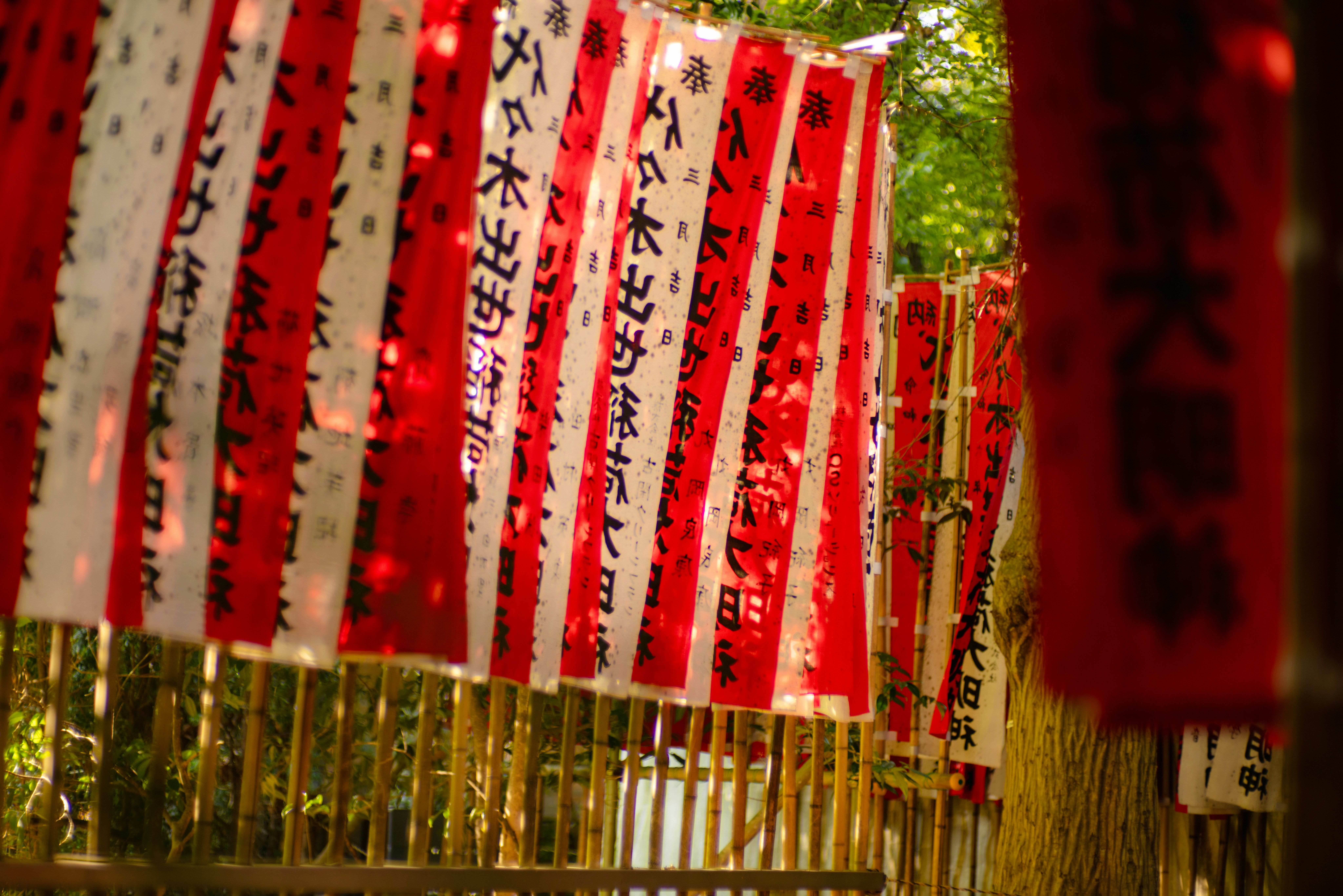 Photo by ninjason