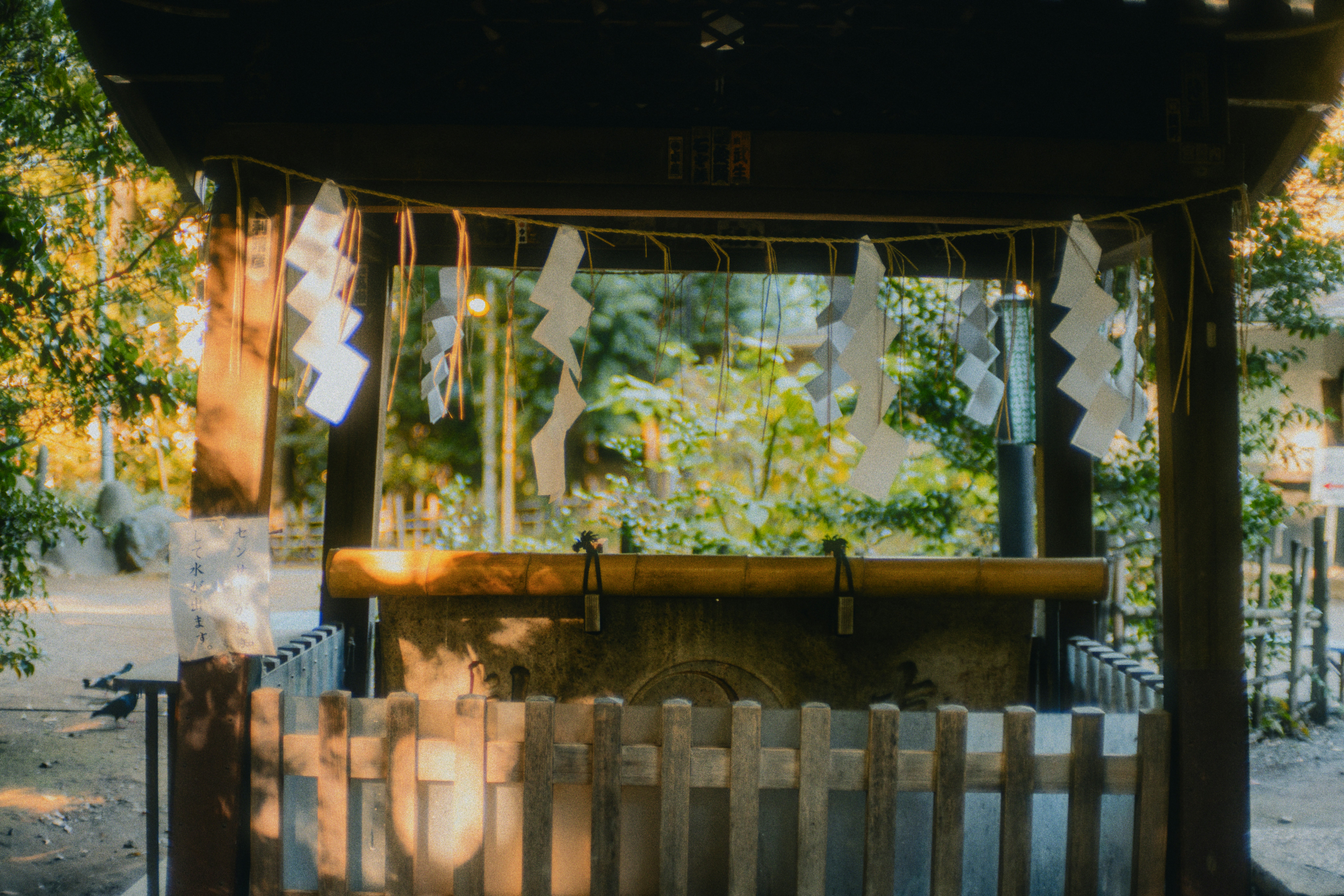 Gribschaw Productions's image