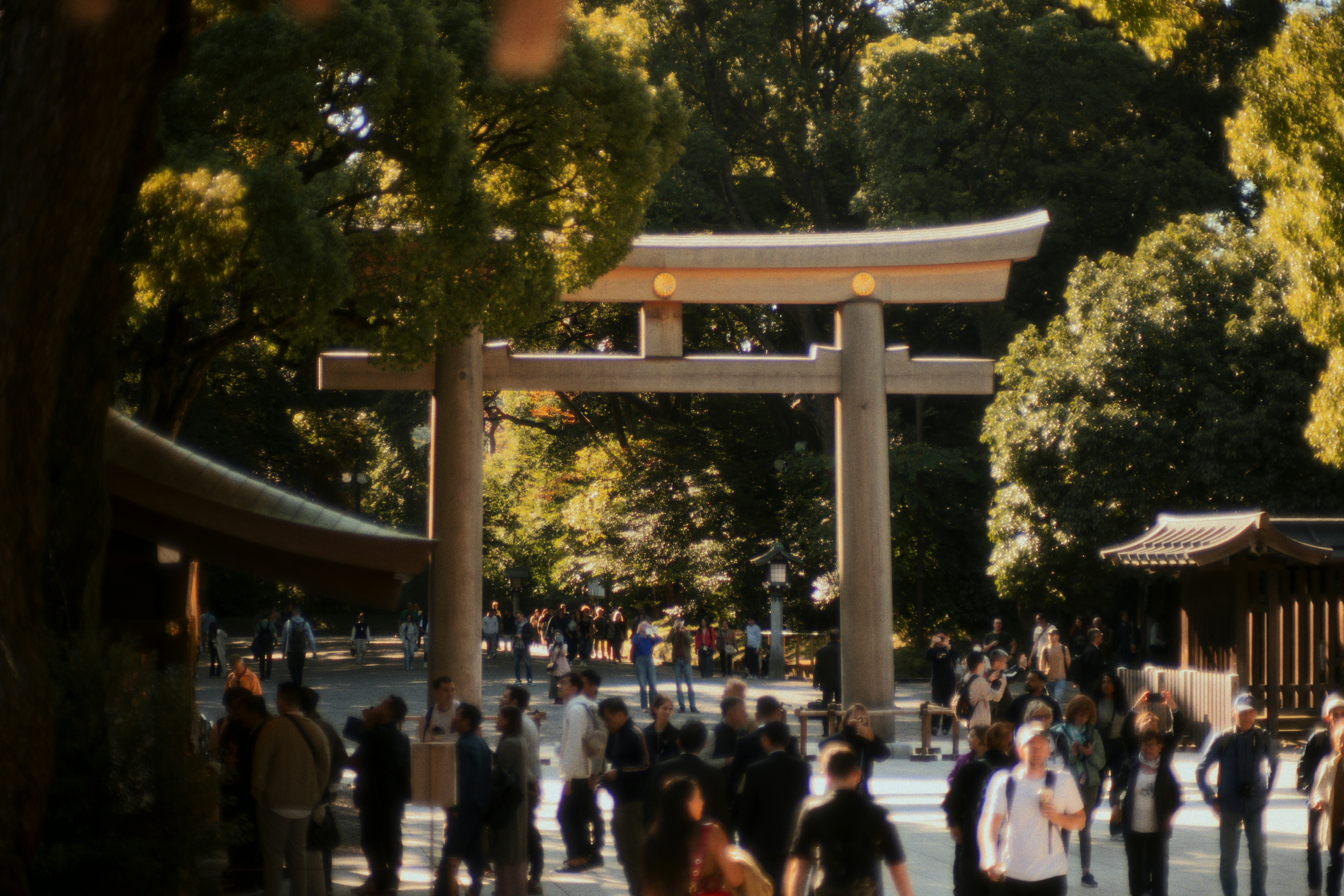 Photo by ninjason