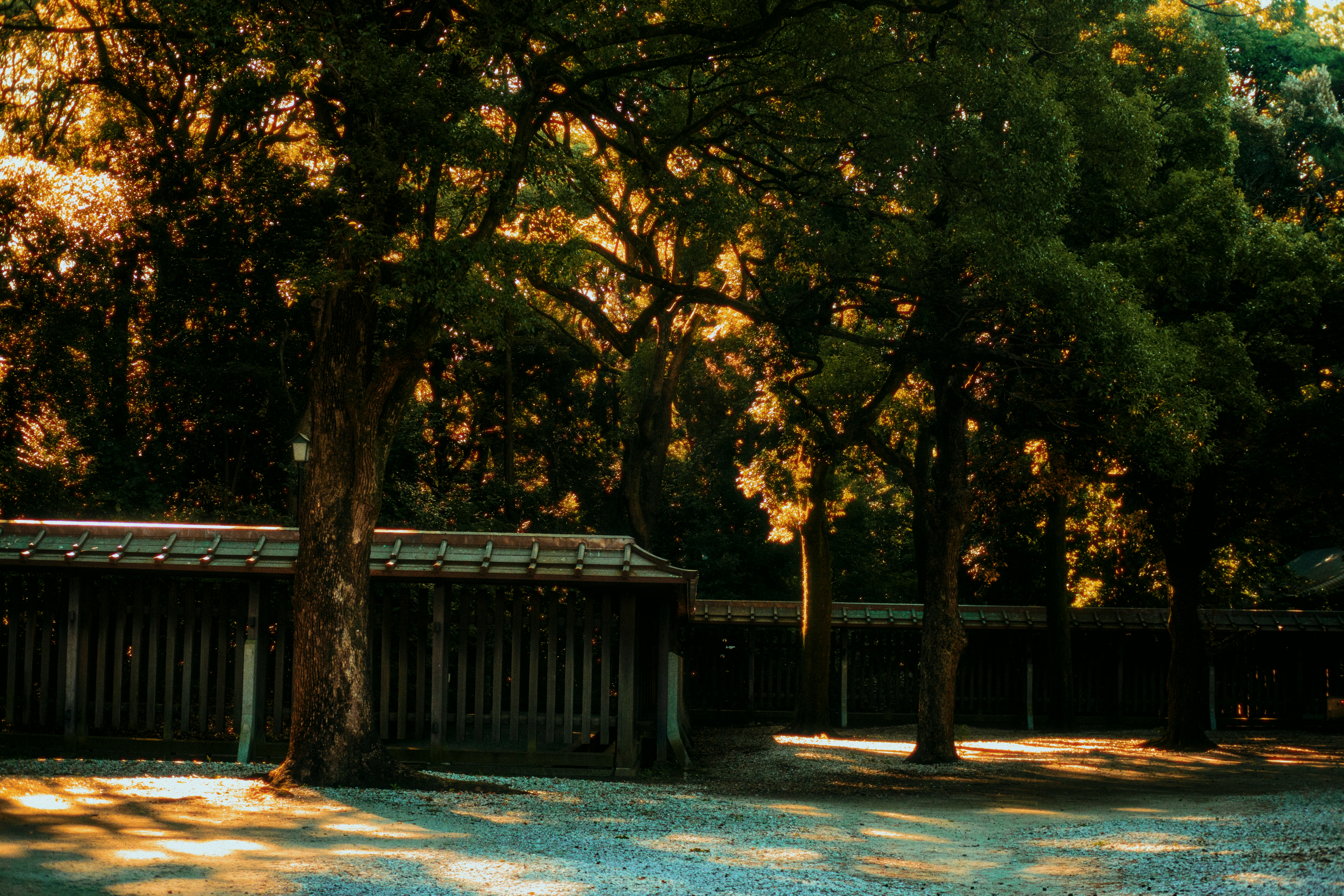 Photo by ninjason