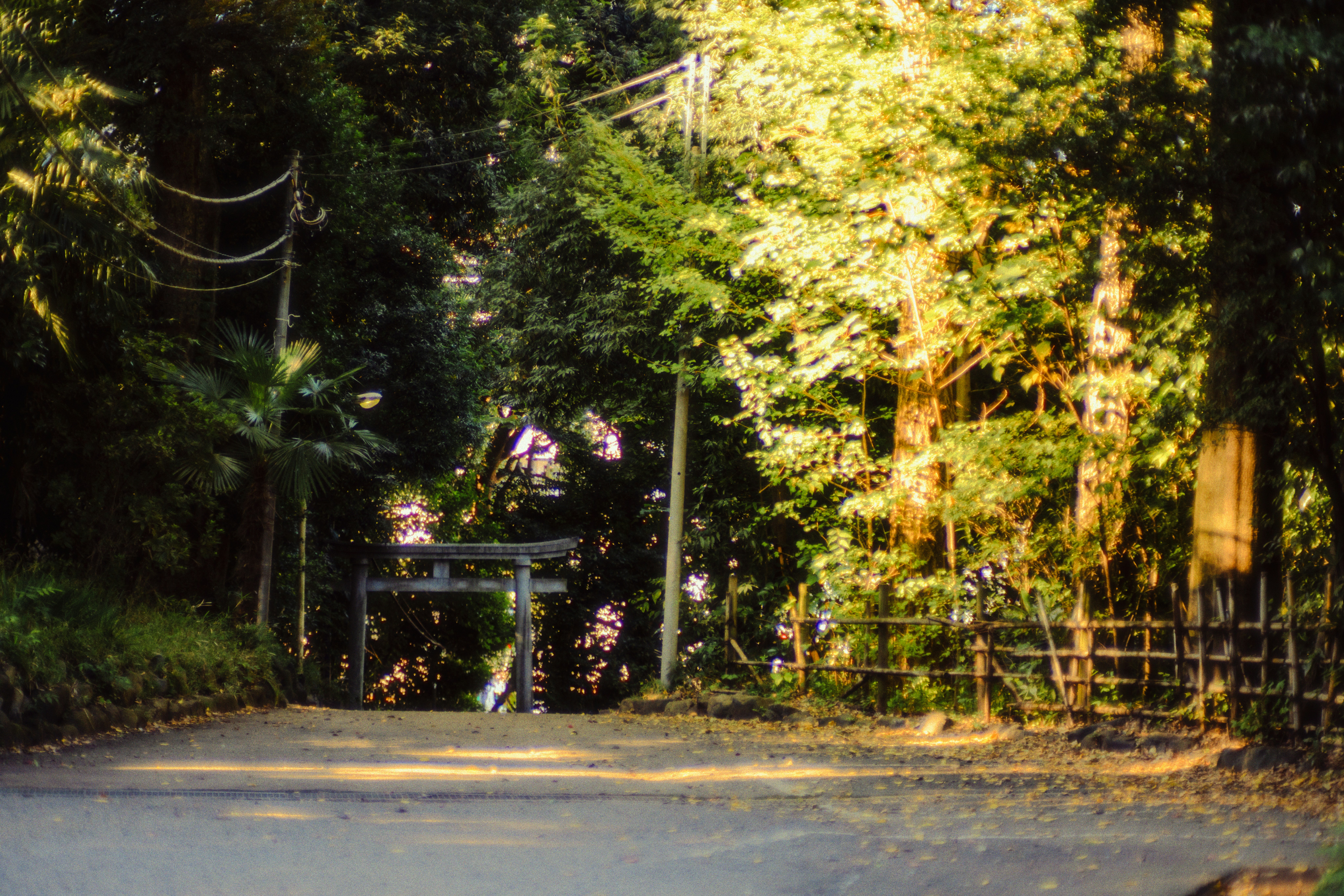 Photo by ninjason