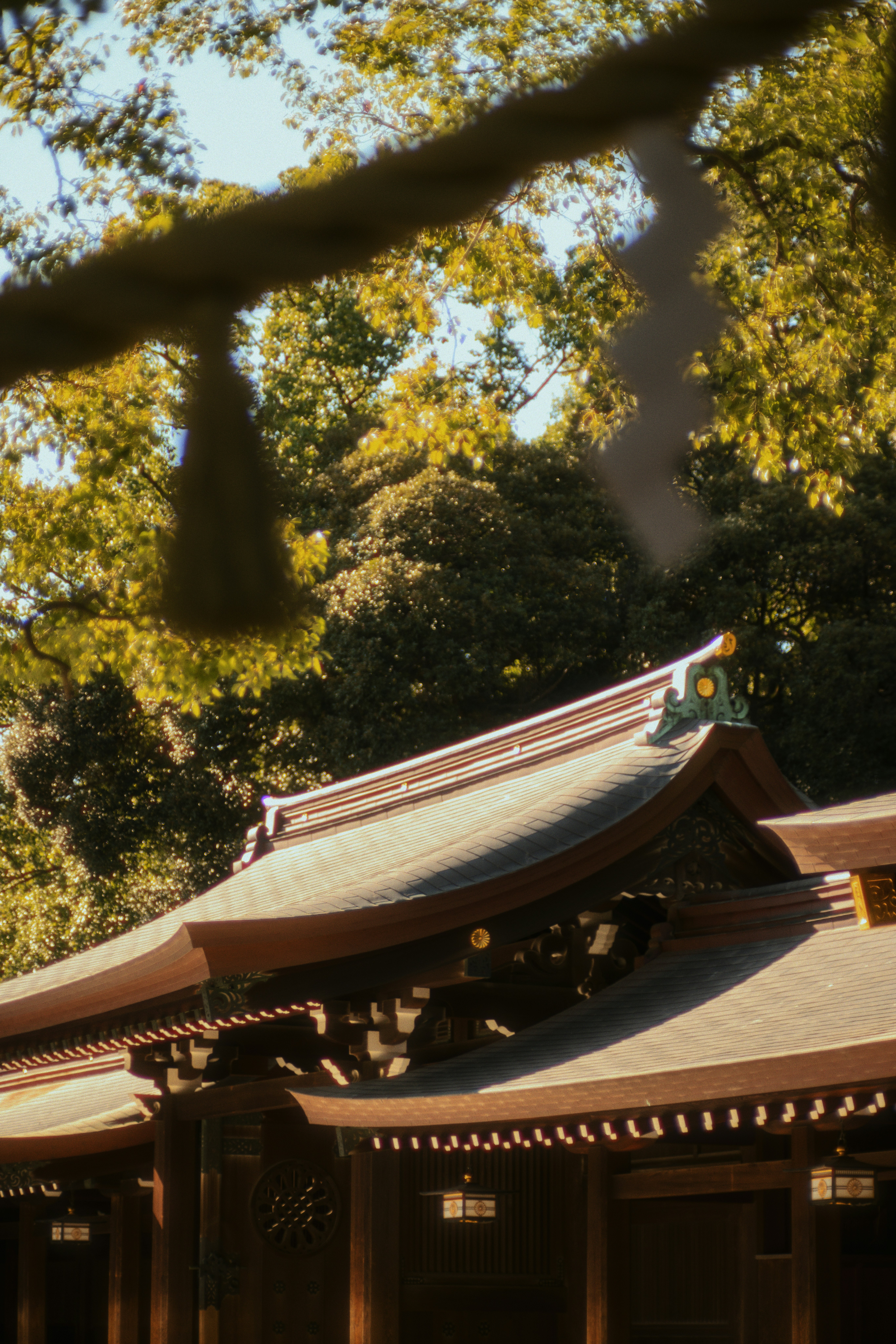 Photo by ninjason