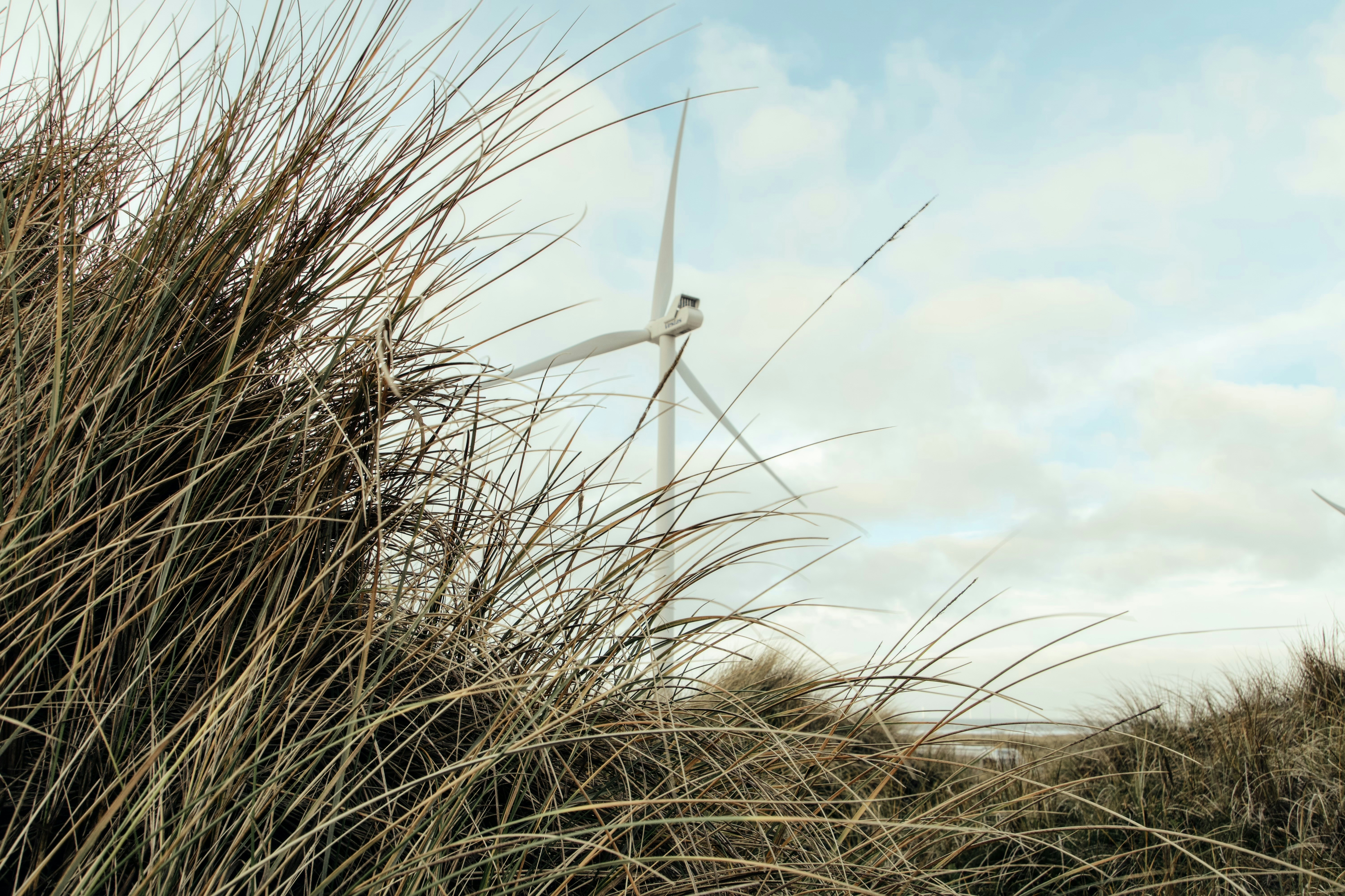 Ein veröffentlichtes Foto