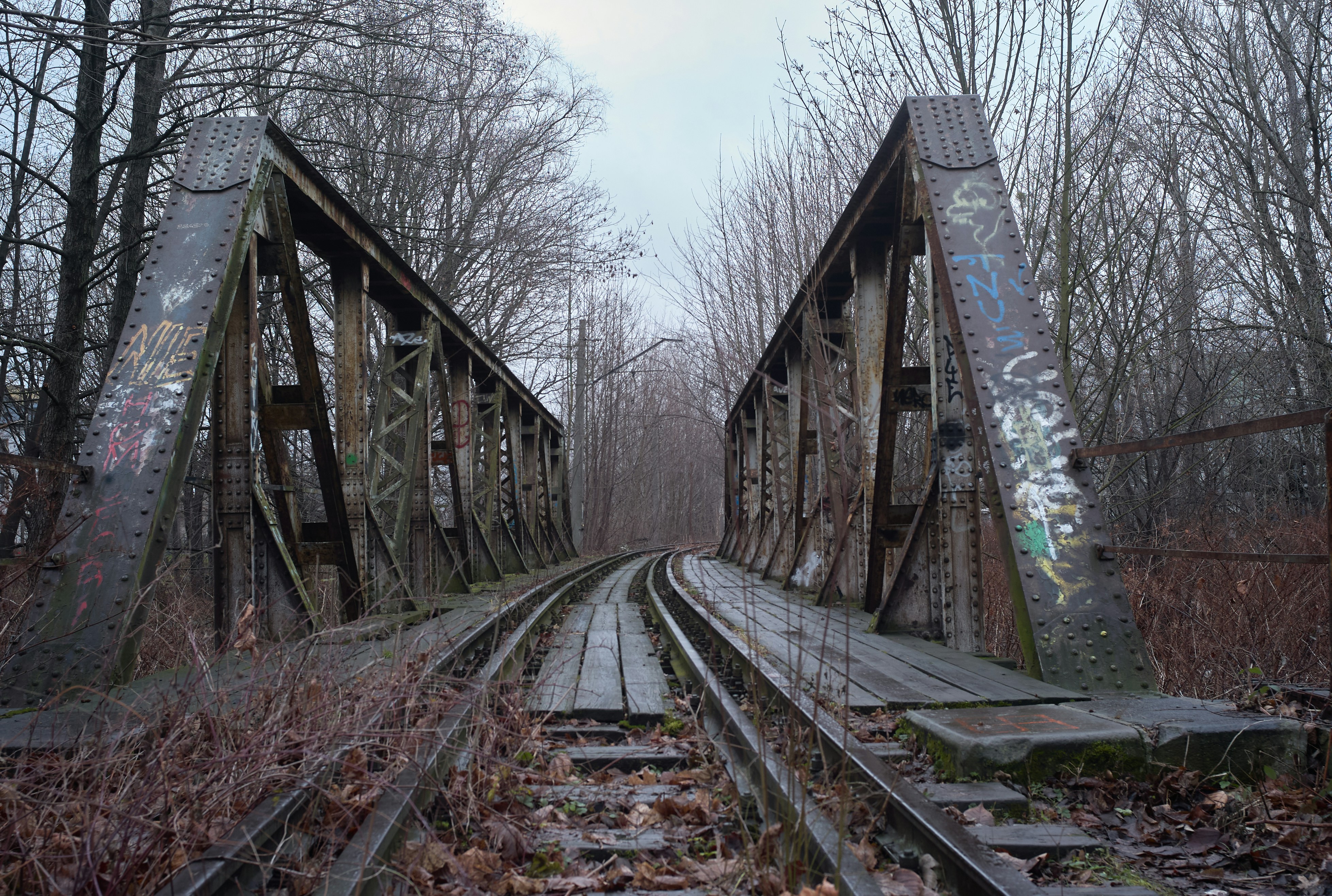 Photo by alanalves