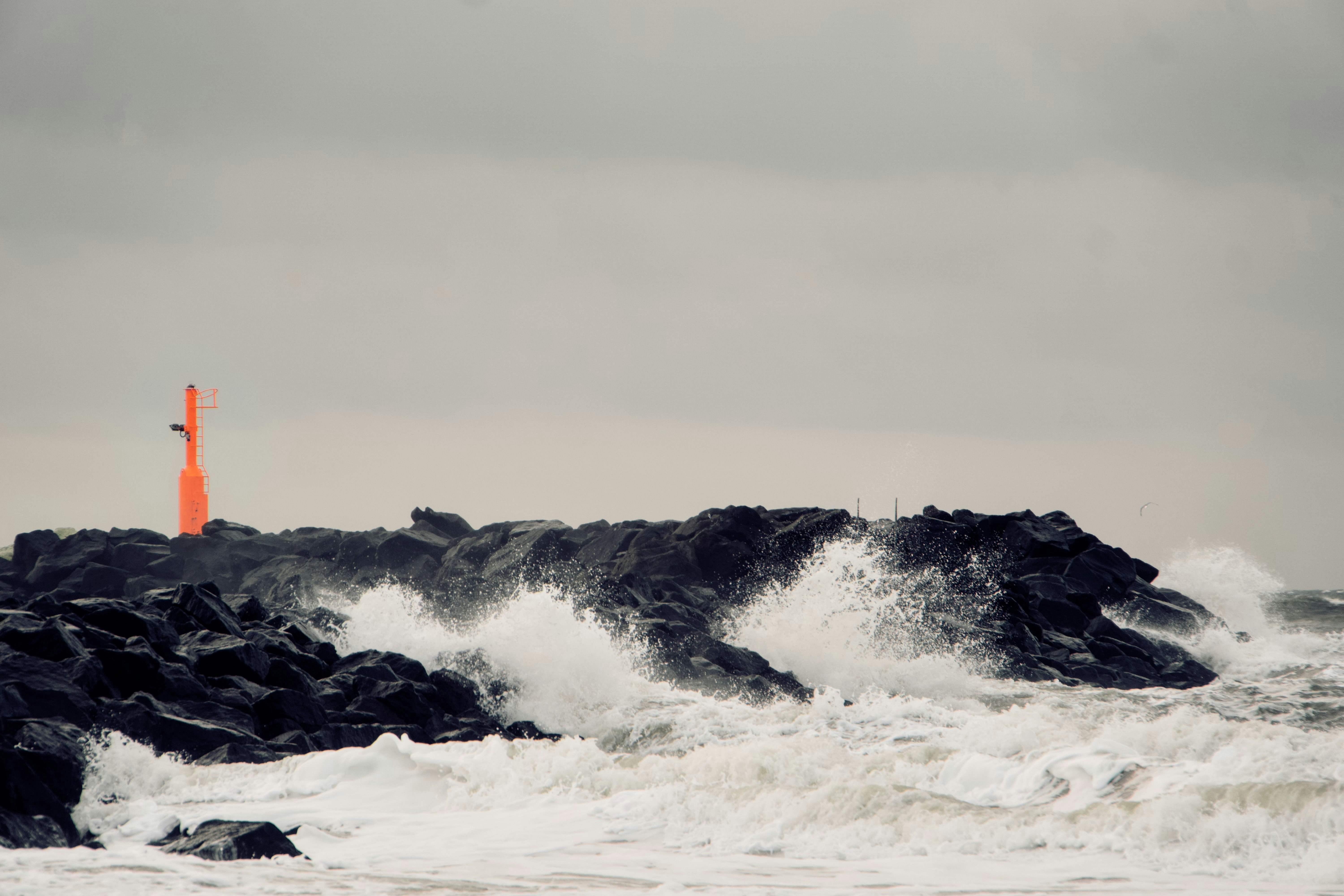 Ein veröffentlichtes Foto