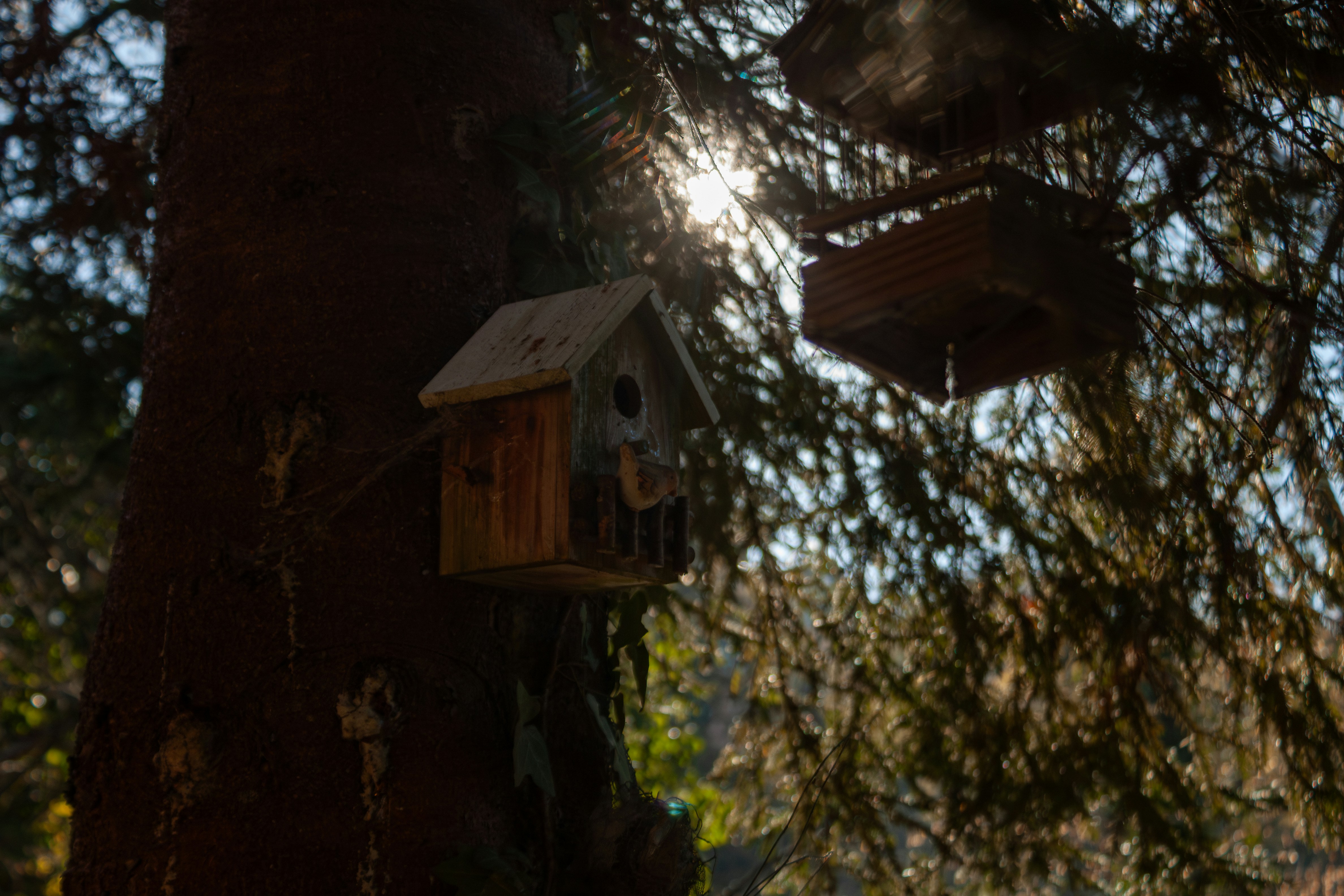 Photo by sassmotional