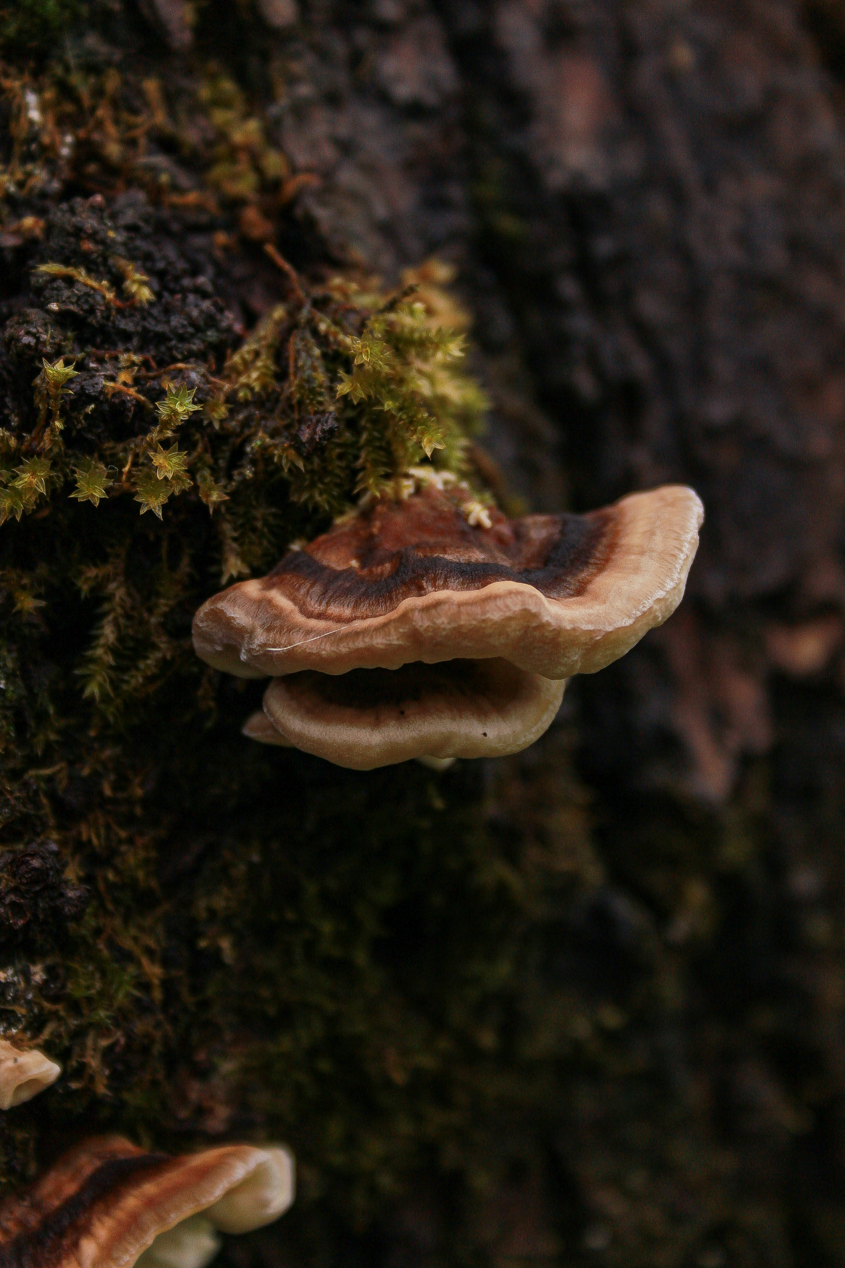 Photo by michael_kater