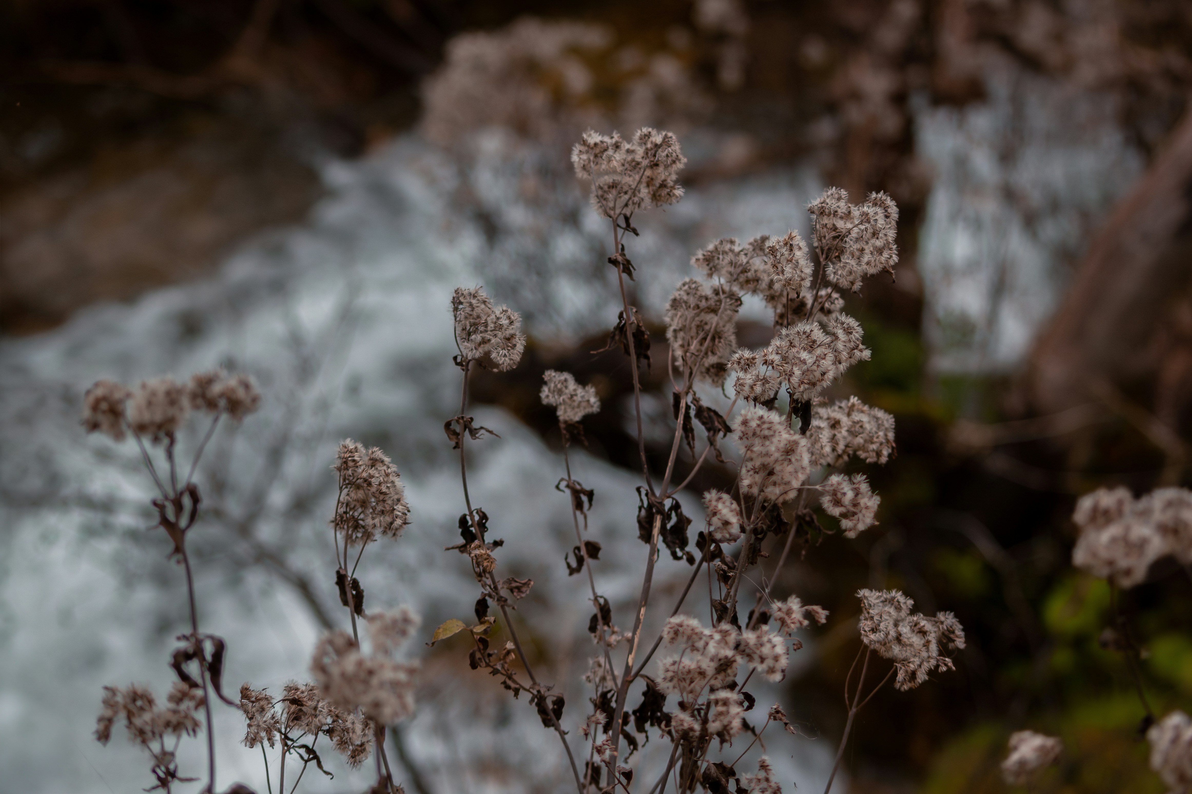 Photo by sassmotional