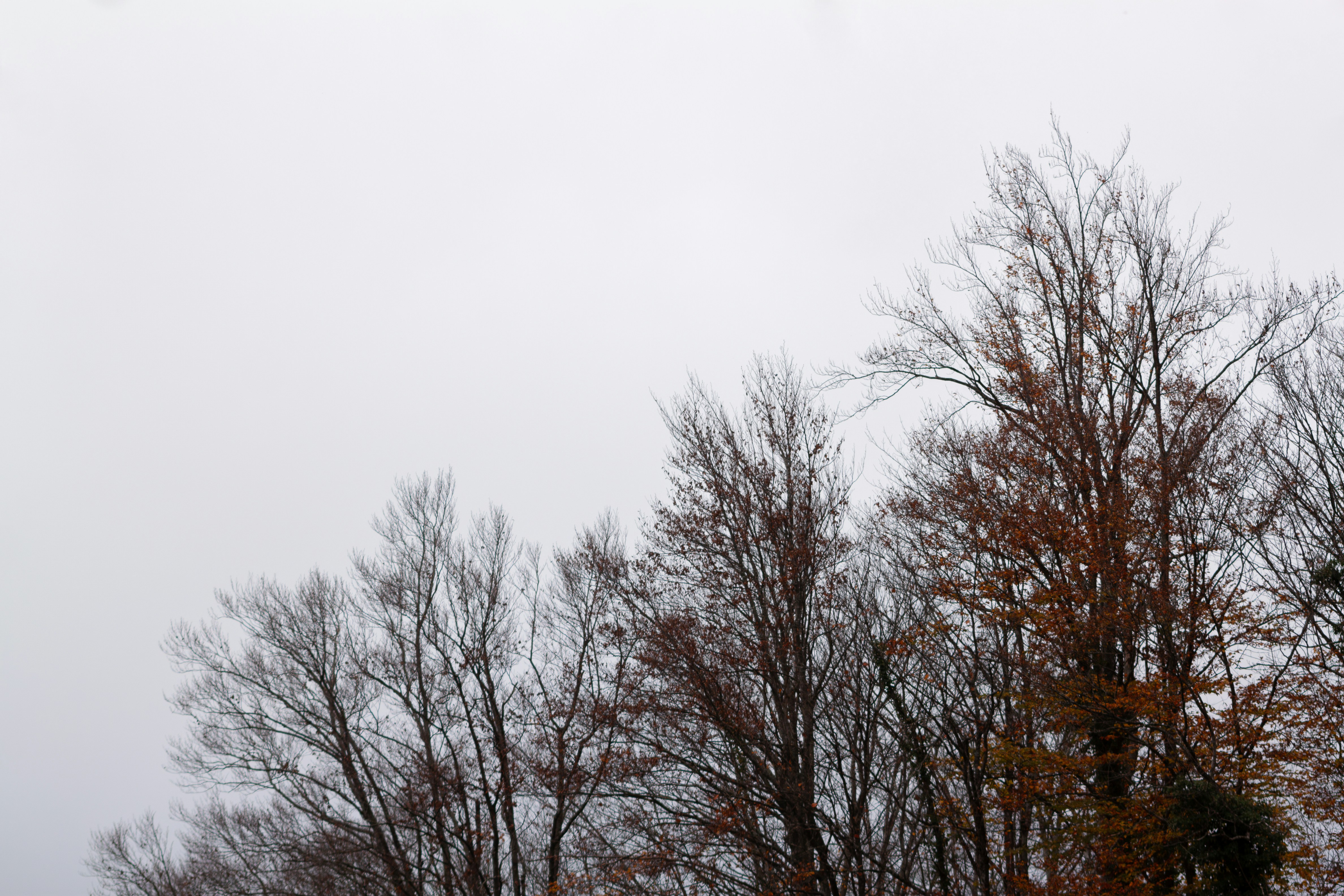 Photo by sassmotional