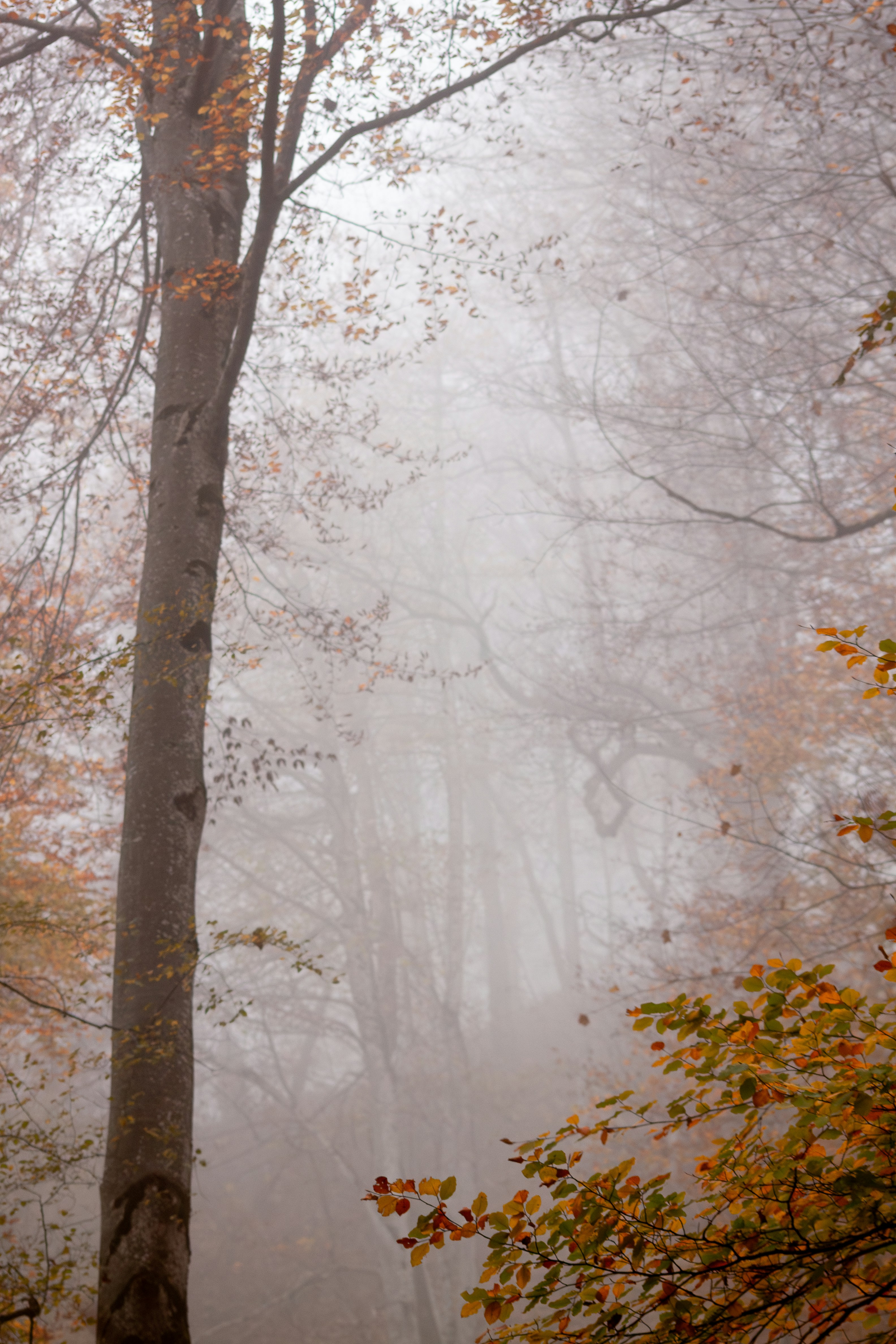 Photo by sassmotional