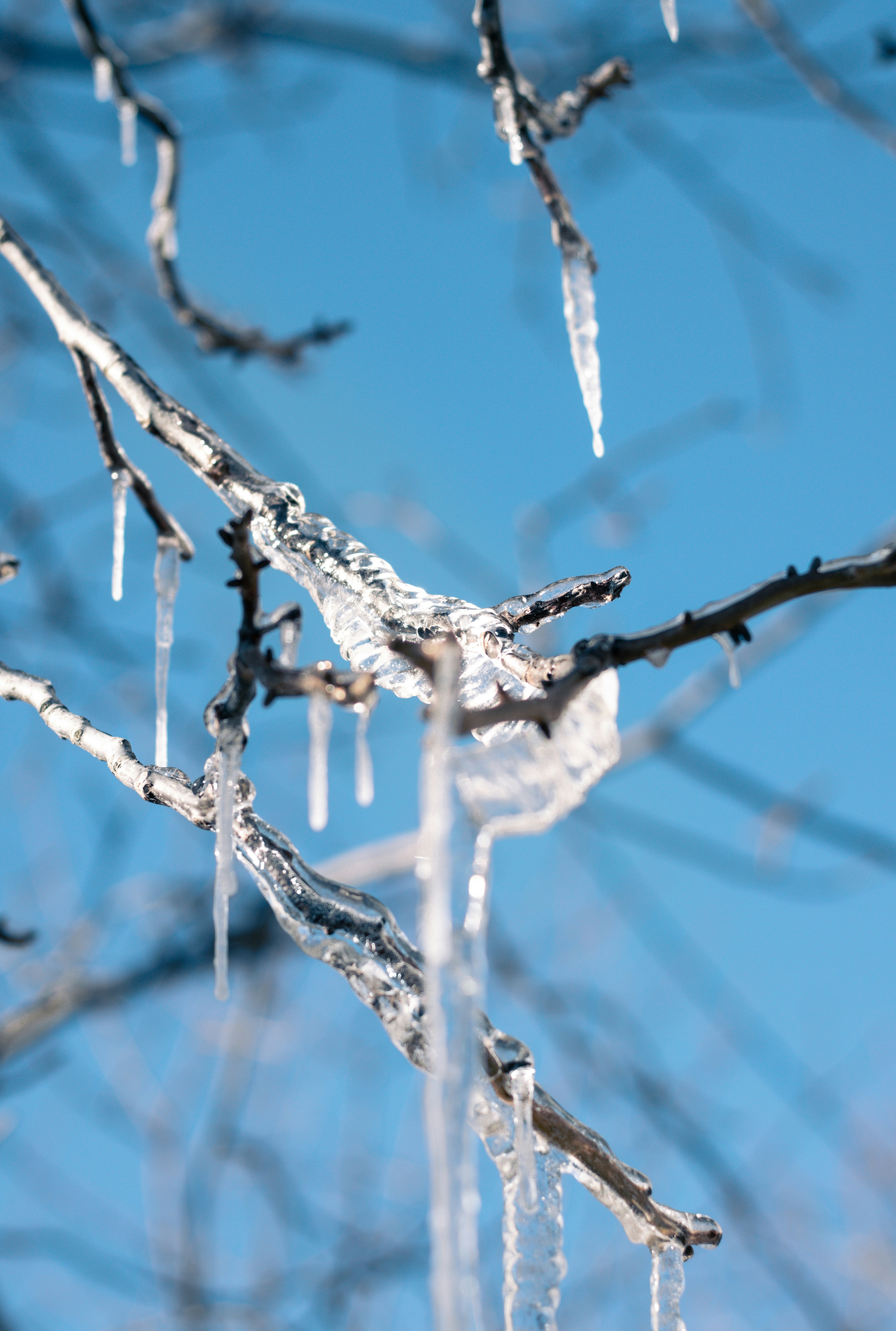 Photo by that_one_ukrainian