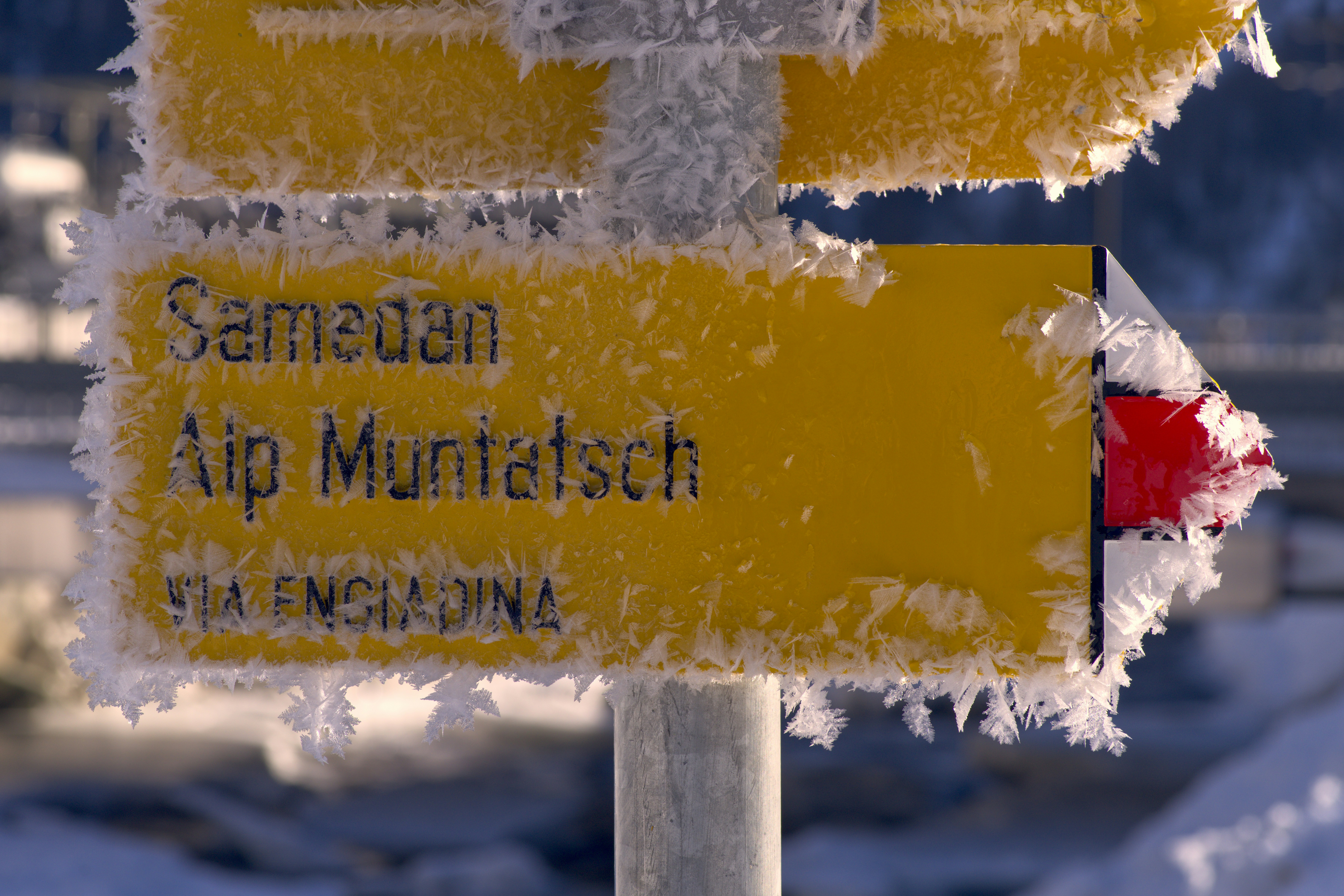 A street sign covered in ice and snow