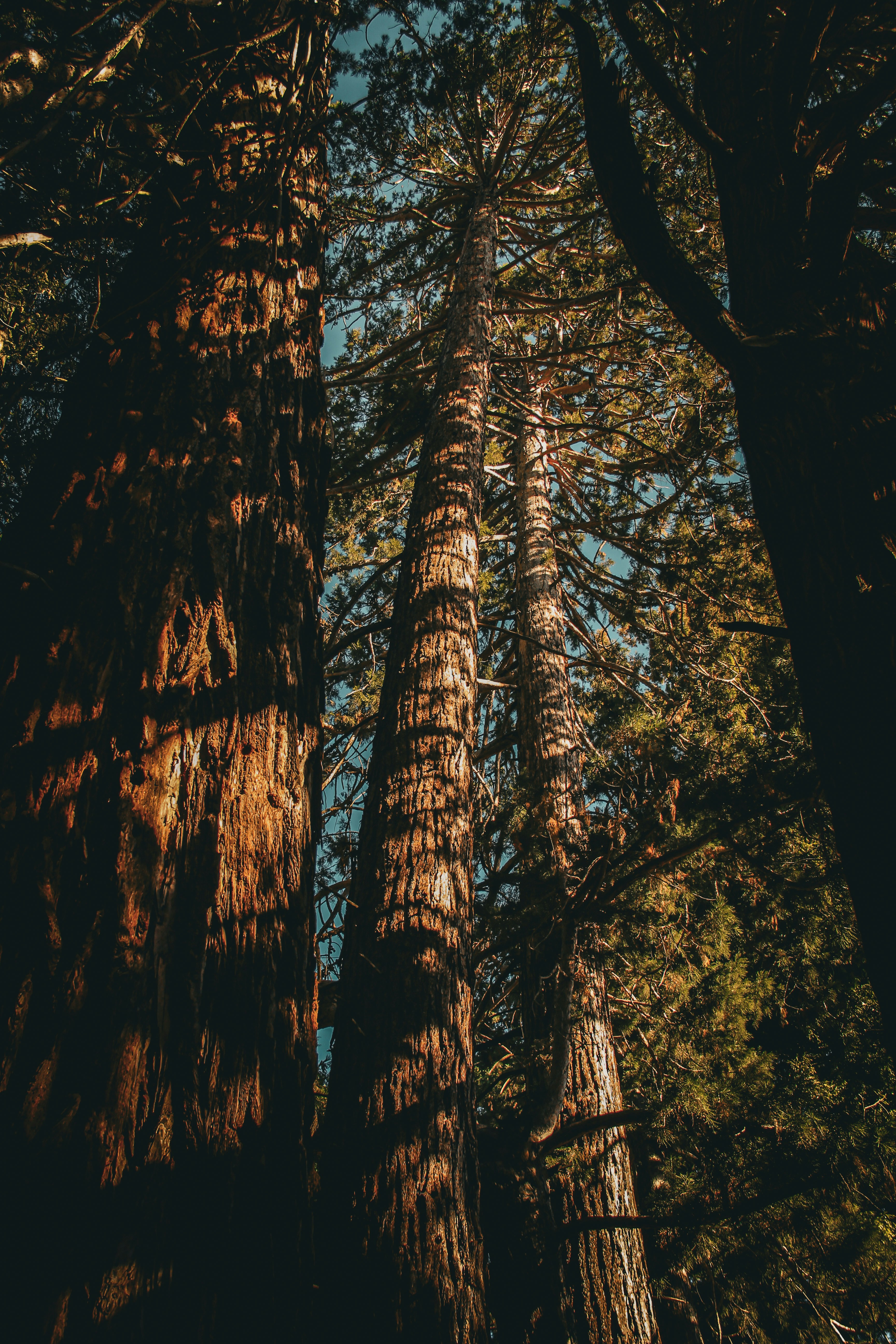 Photo by r_a_photography