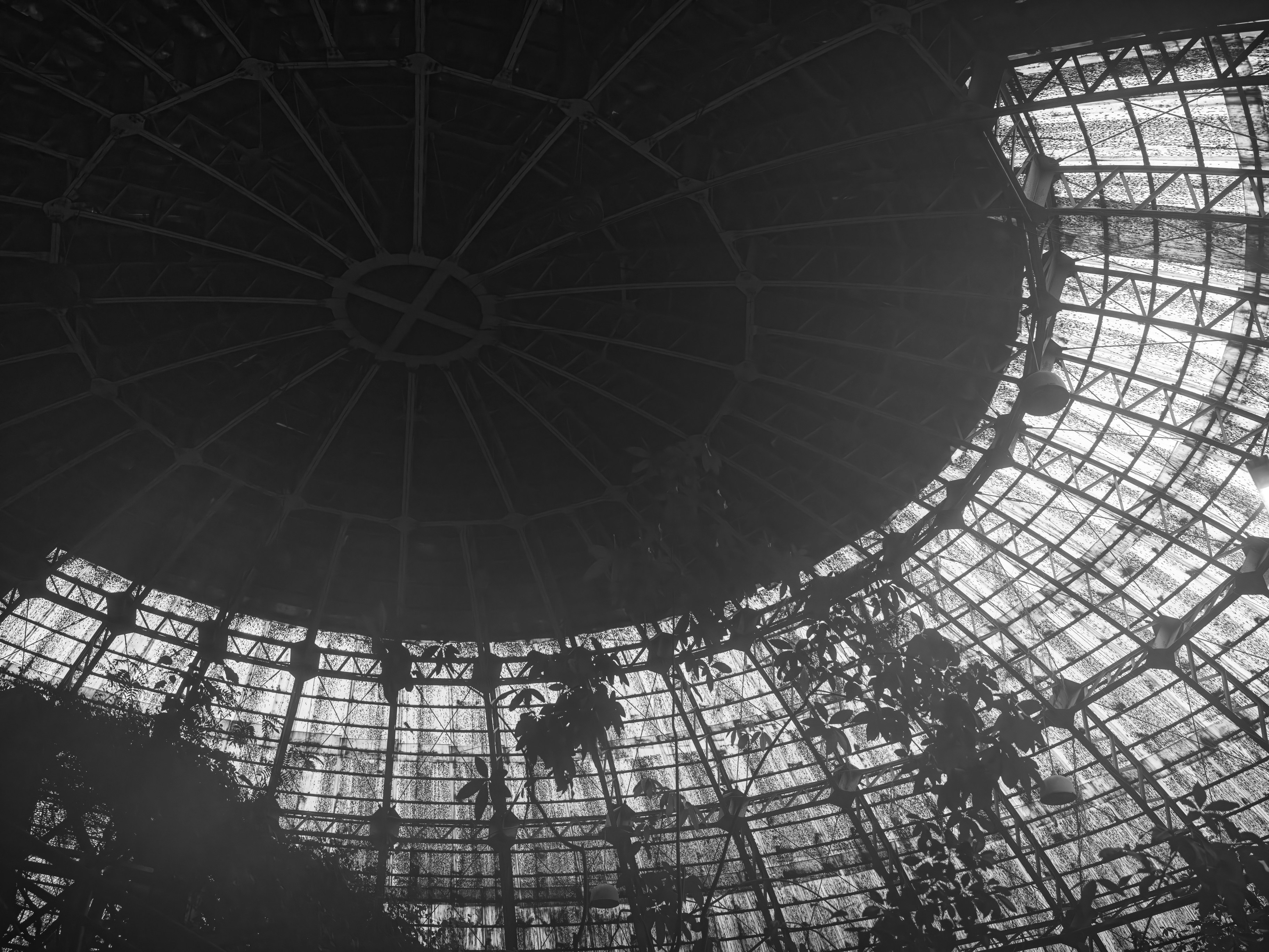 A black and white photo of a glass ceiling