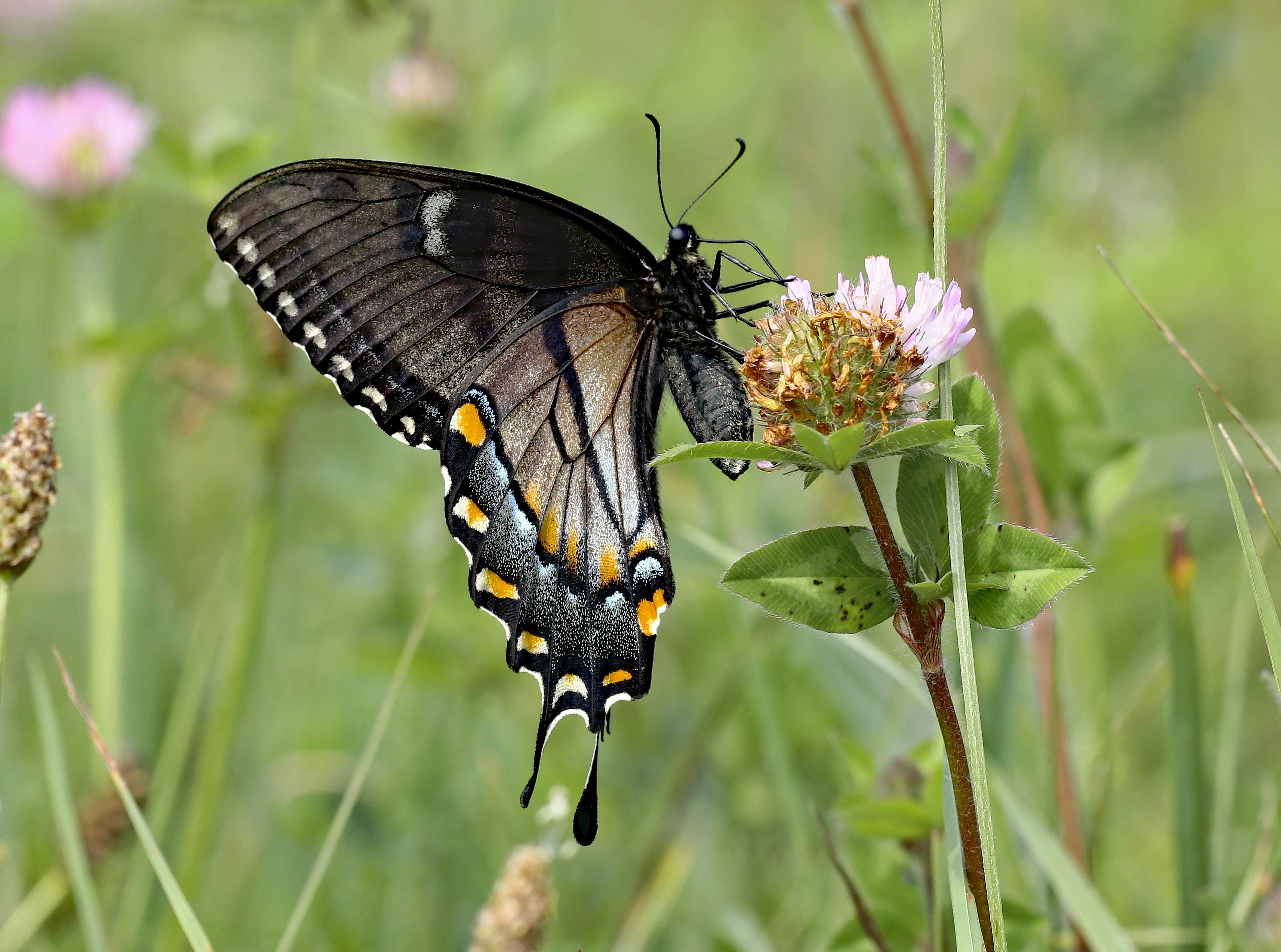 Photo by telliottmbamsc