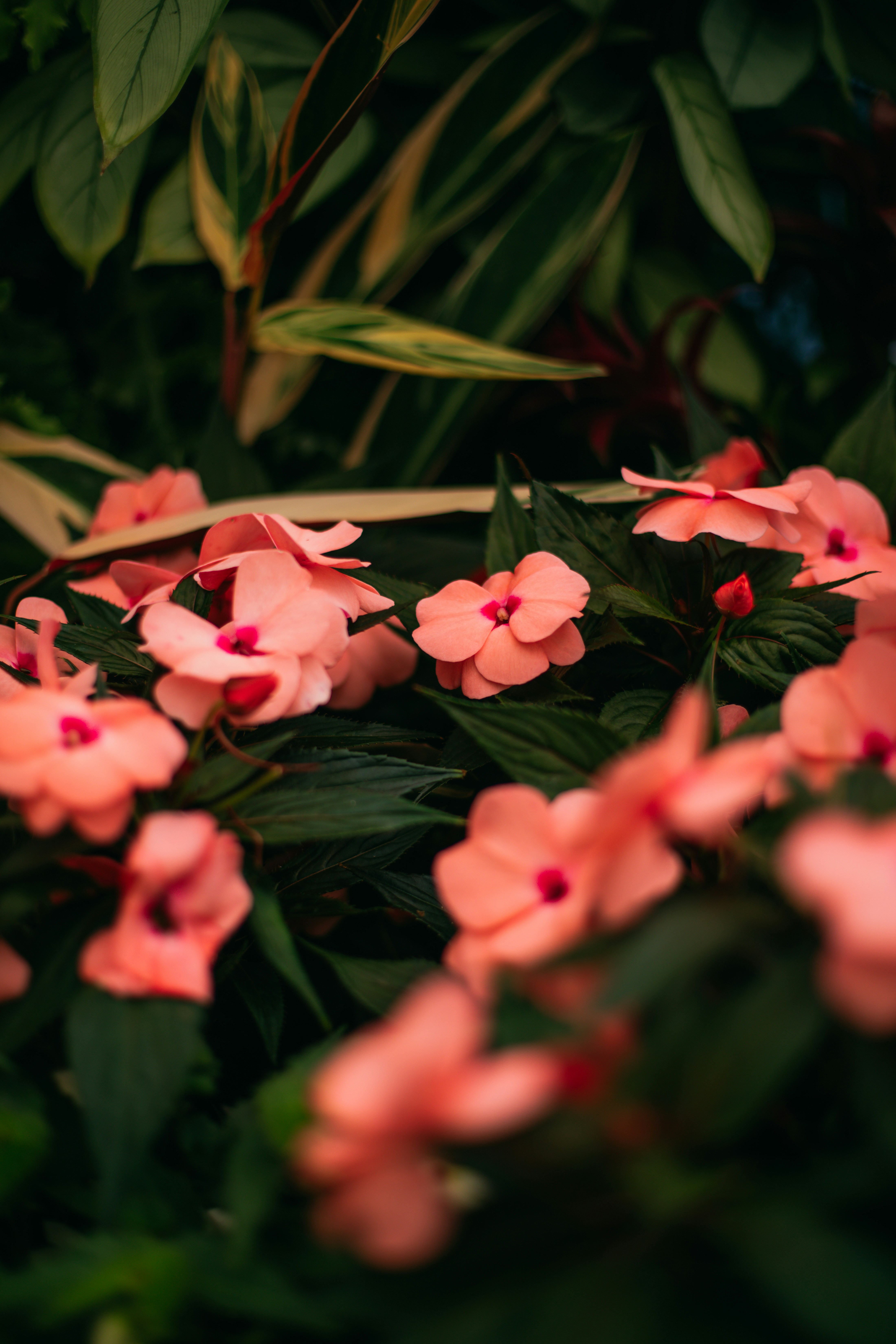 Photo by createinme_nz