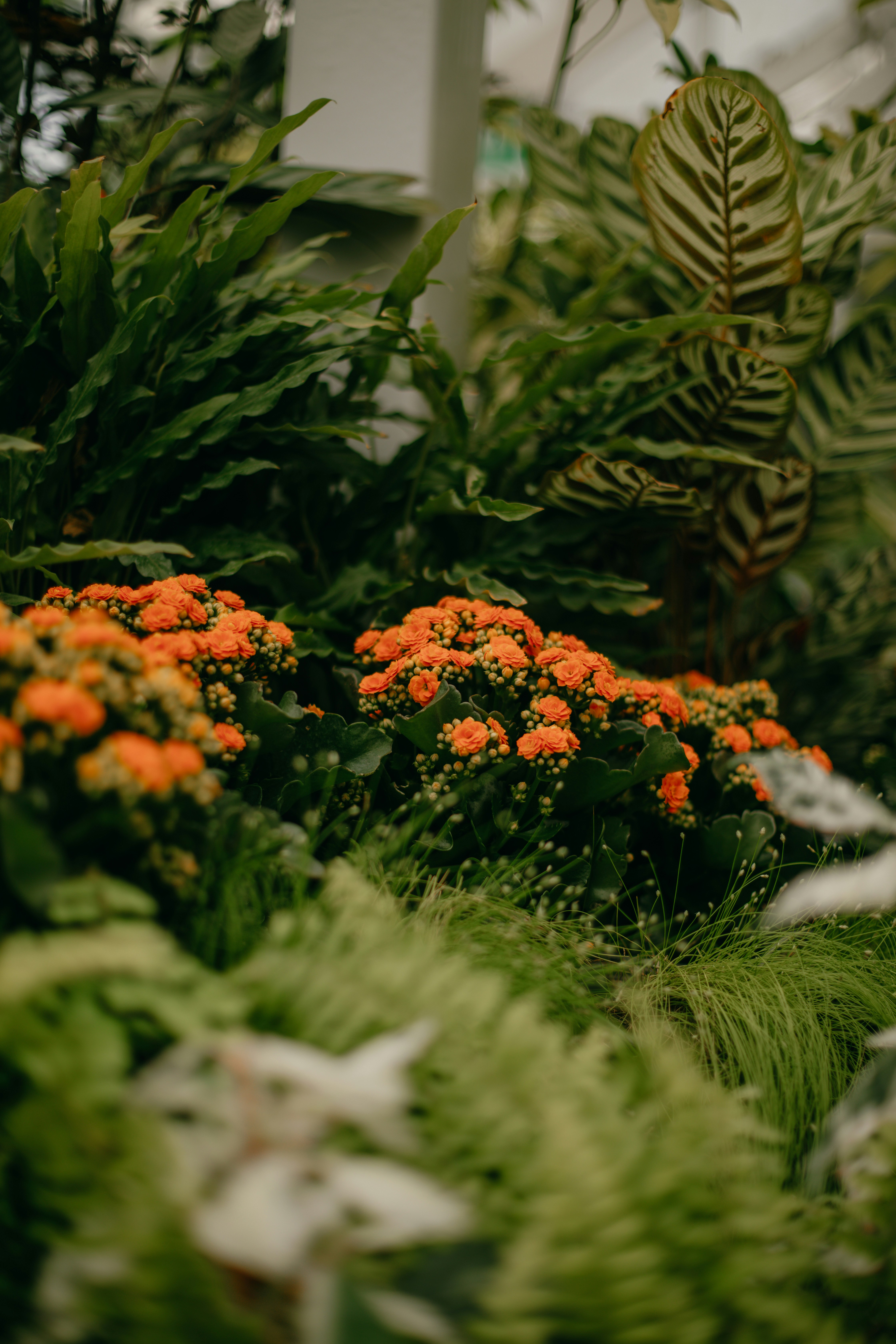 Photo by createinme_nz