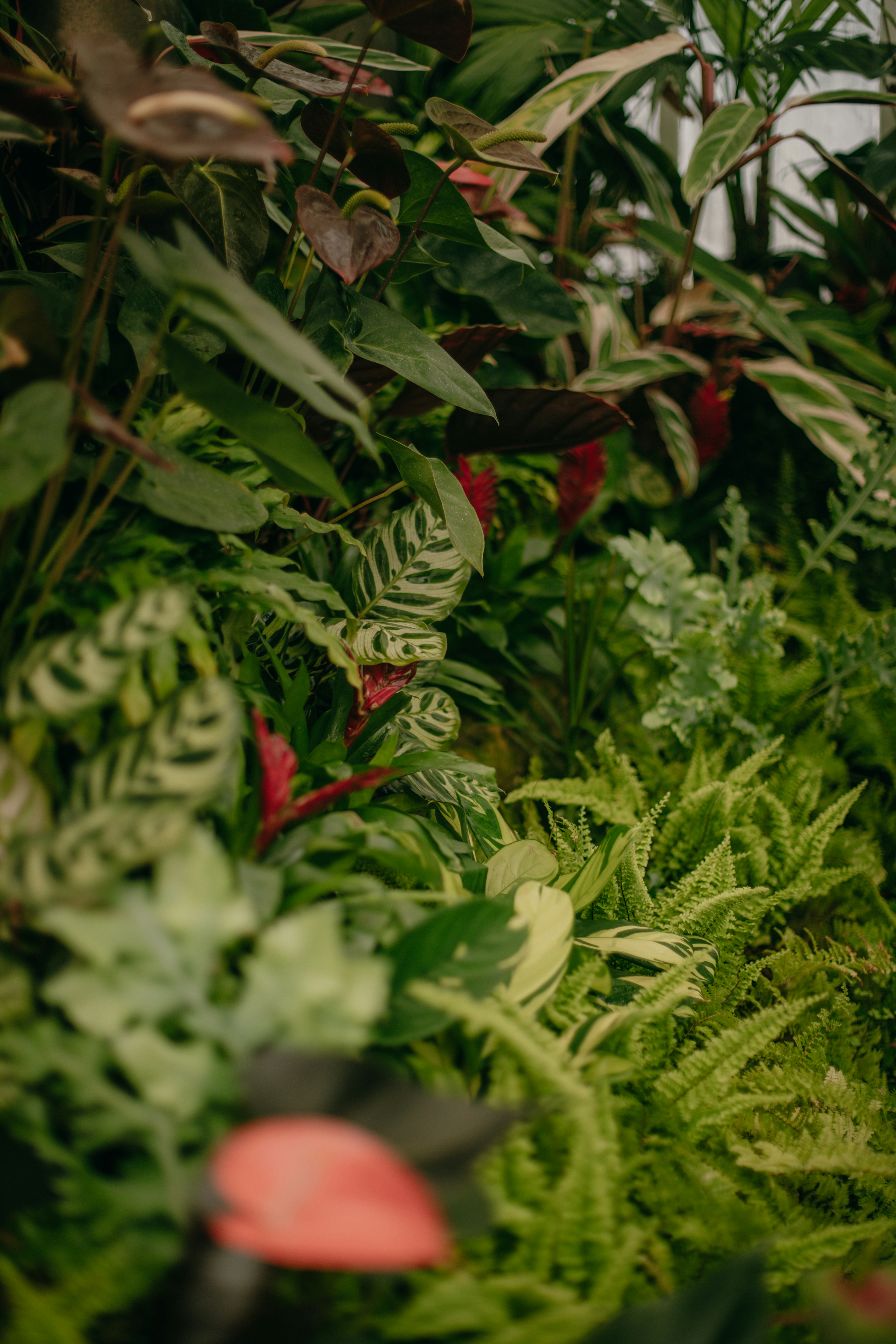 Photo by createinme_nz