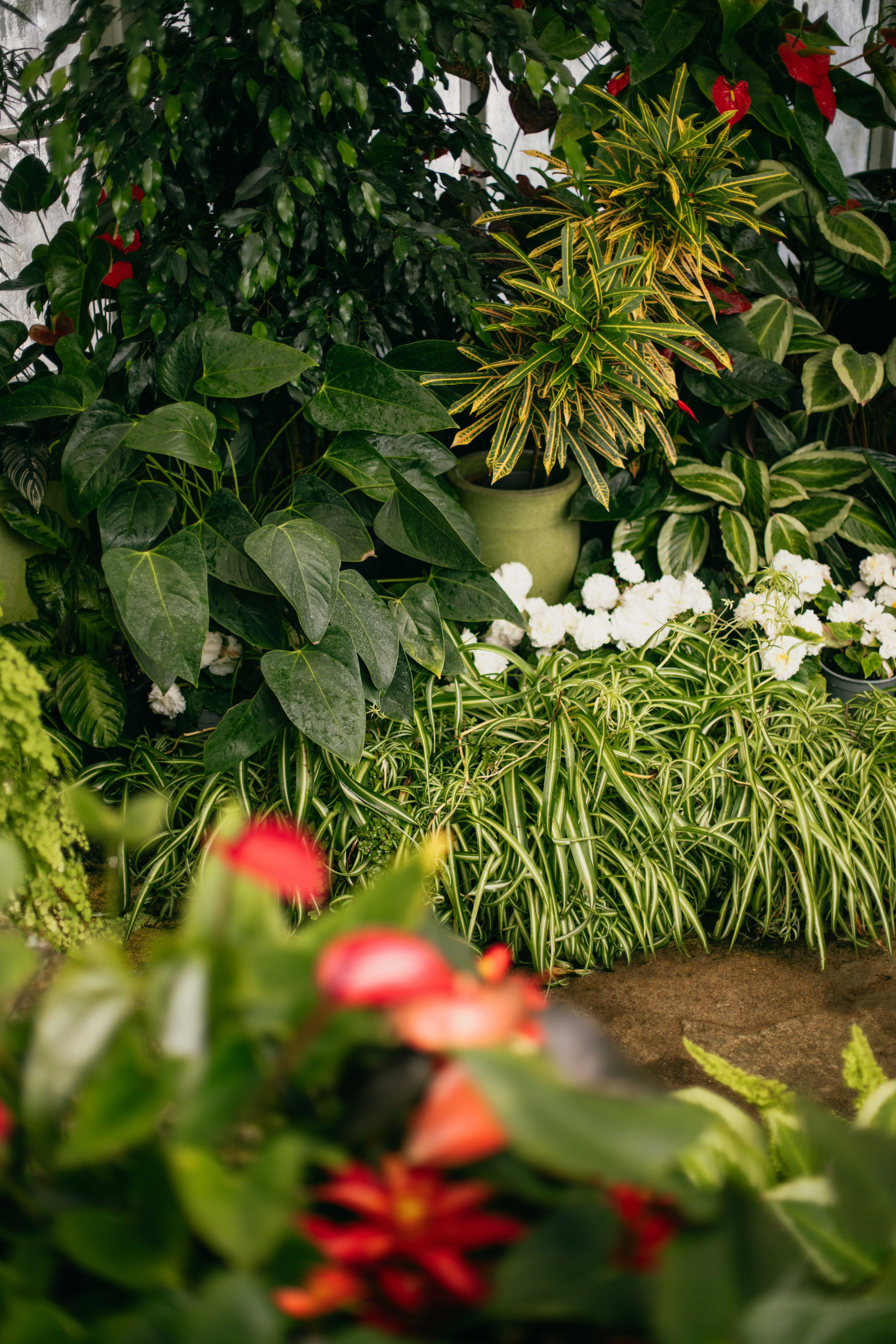 Photo by createinme_nz